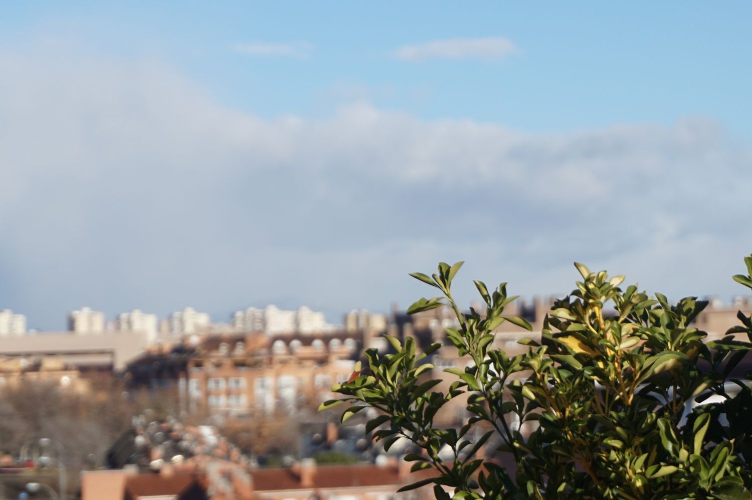 Pisos-Alquiler-Madrid-2177665-Foto-6