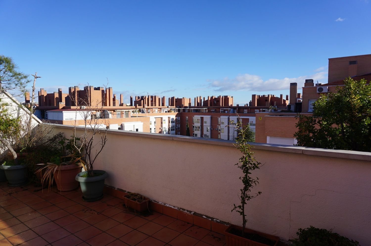 Pisos-Alquiler-Madrid-2177665-Foto-8