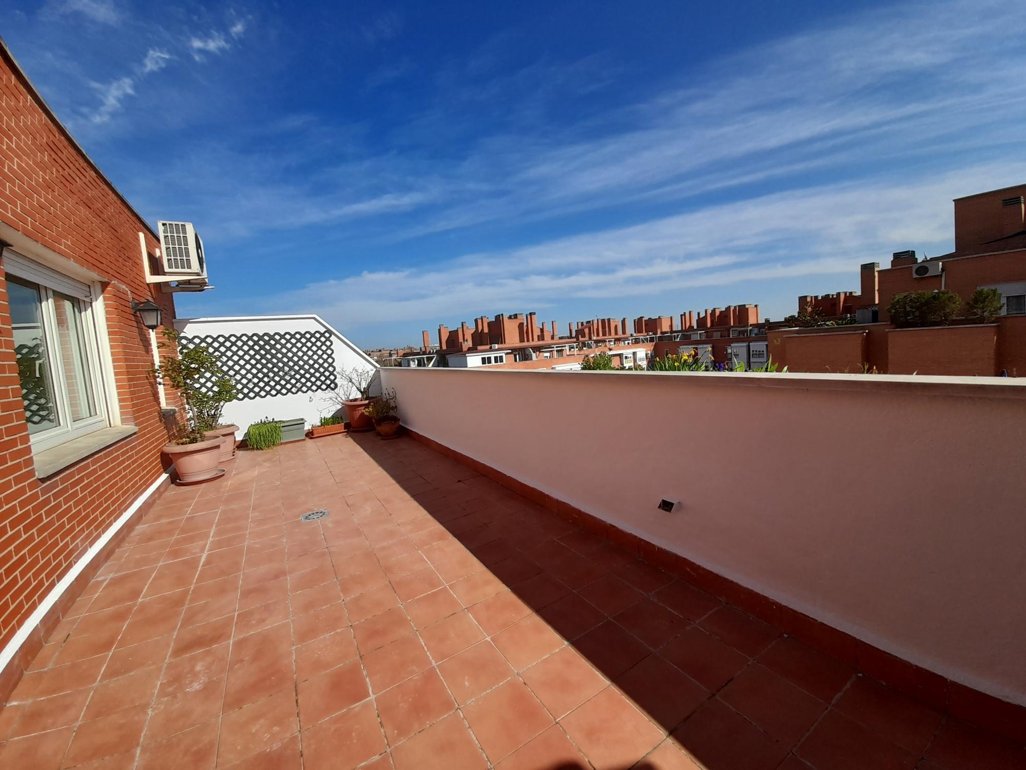 Pisos-Alquiler-Madrid-2177665-Foto-23