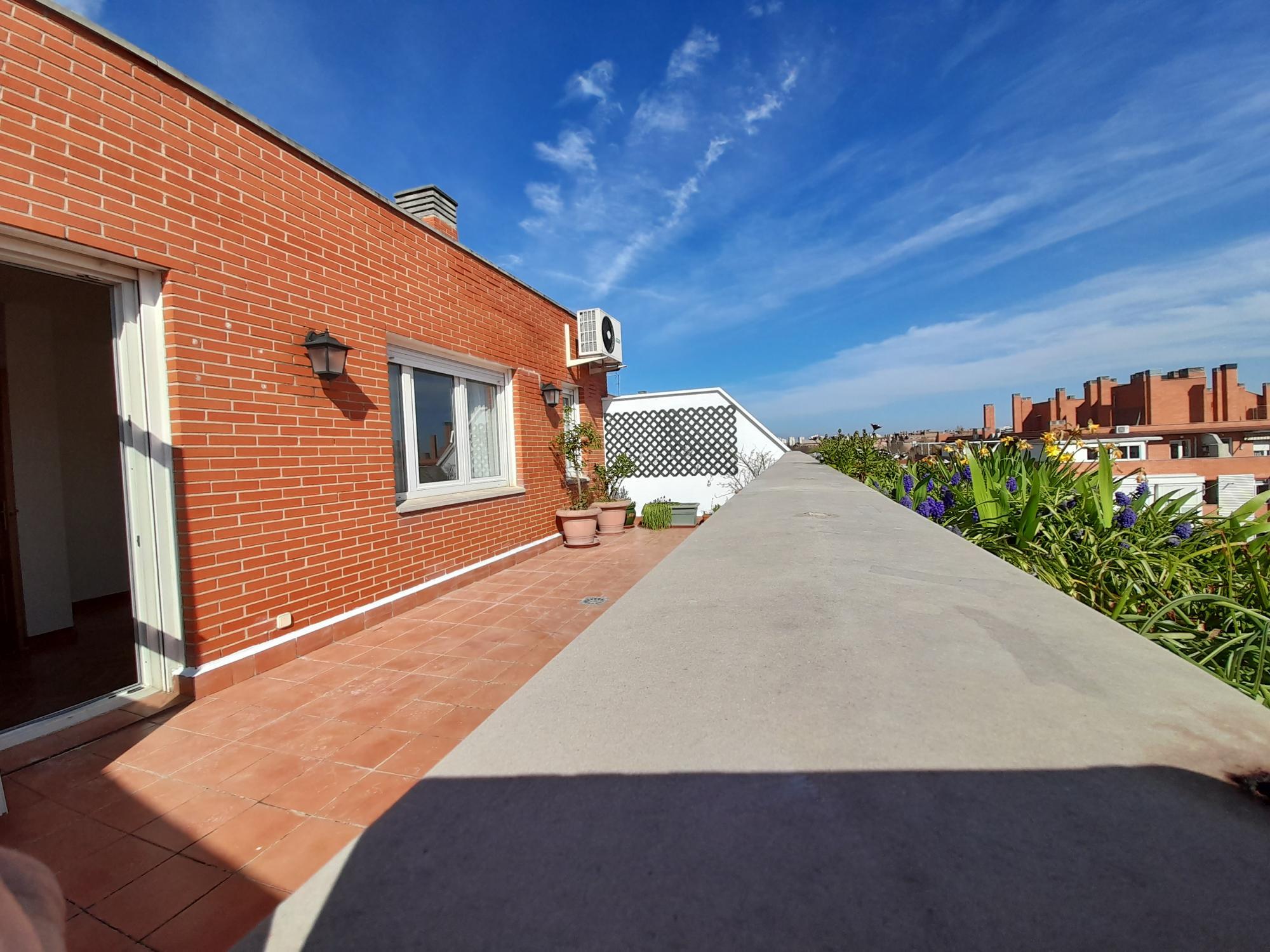 Pisos-Alquiler-Madrid-2177665-Foto-24