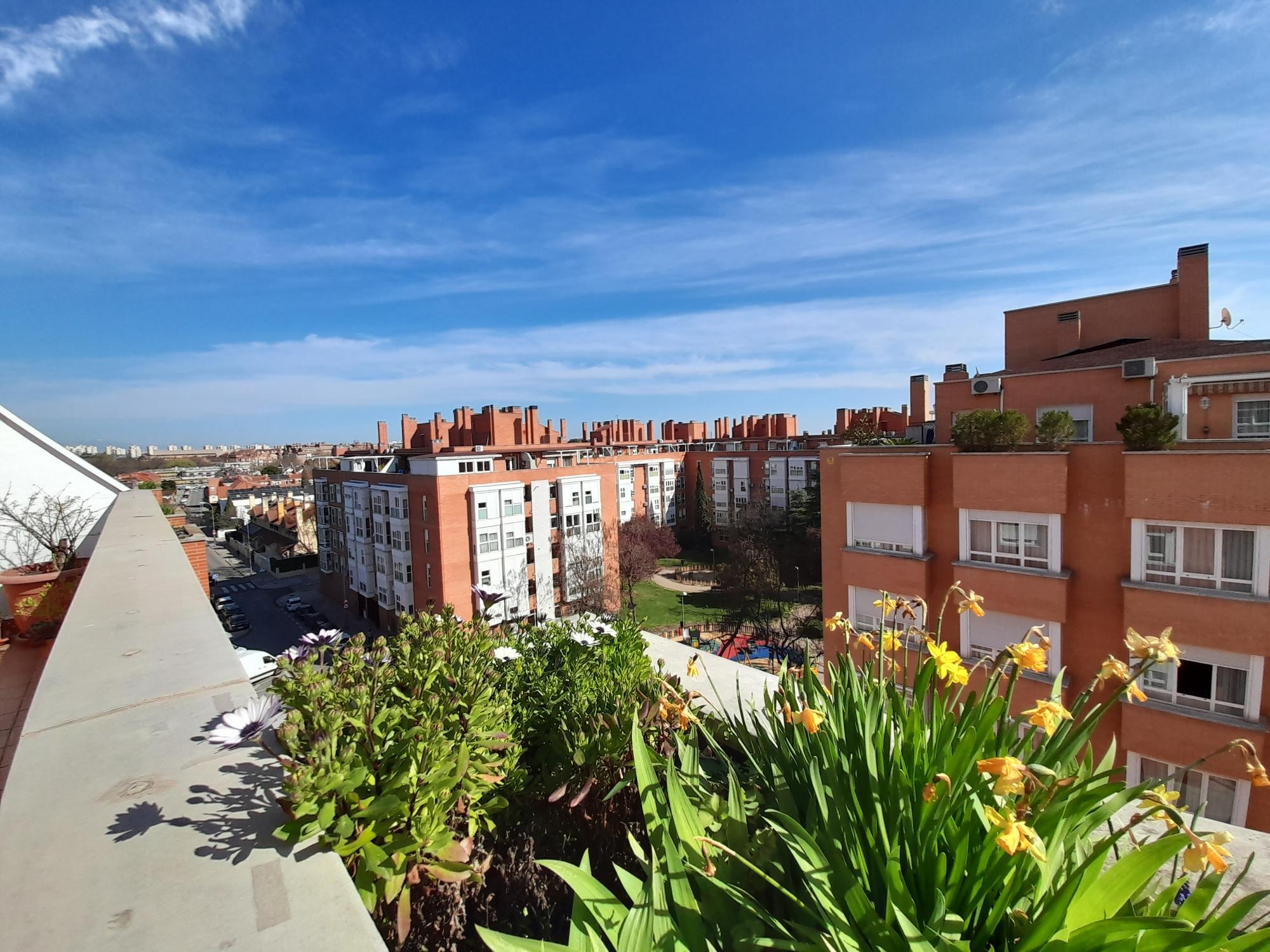 Pisos-Alquiler-Madrid-2177665-Foto-34