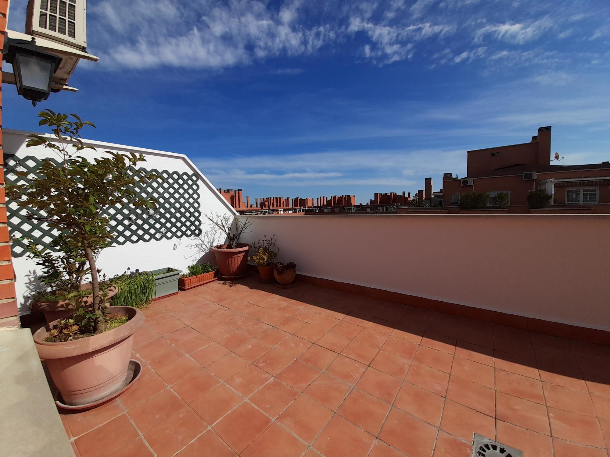 Pisos-Alquiler-Madrid-2177665-Foto-67