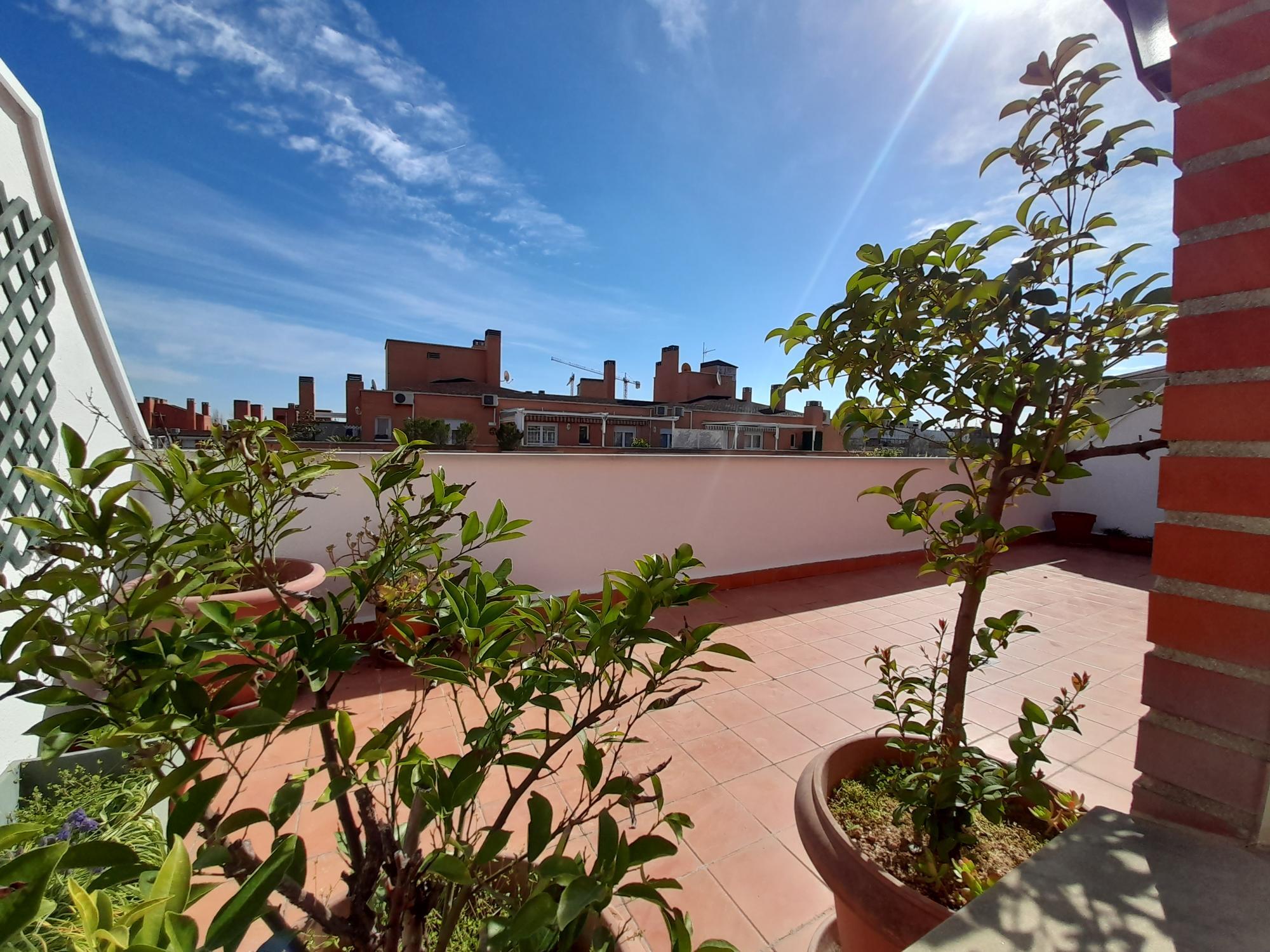 Pisos-Alquiler-Madrid-2177665-Foto-70