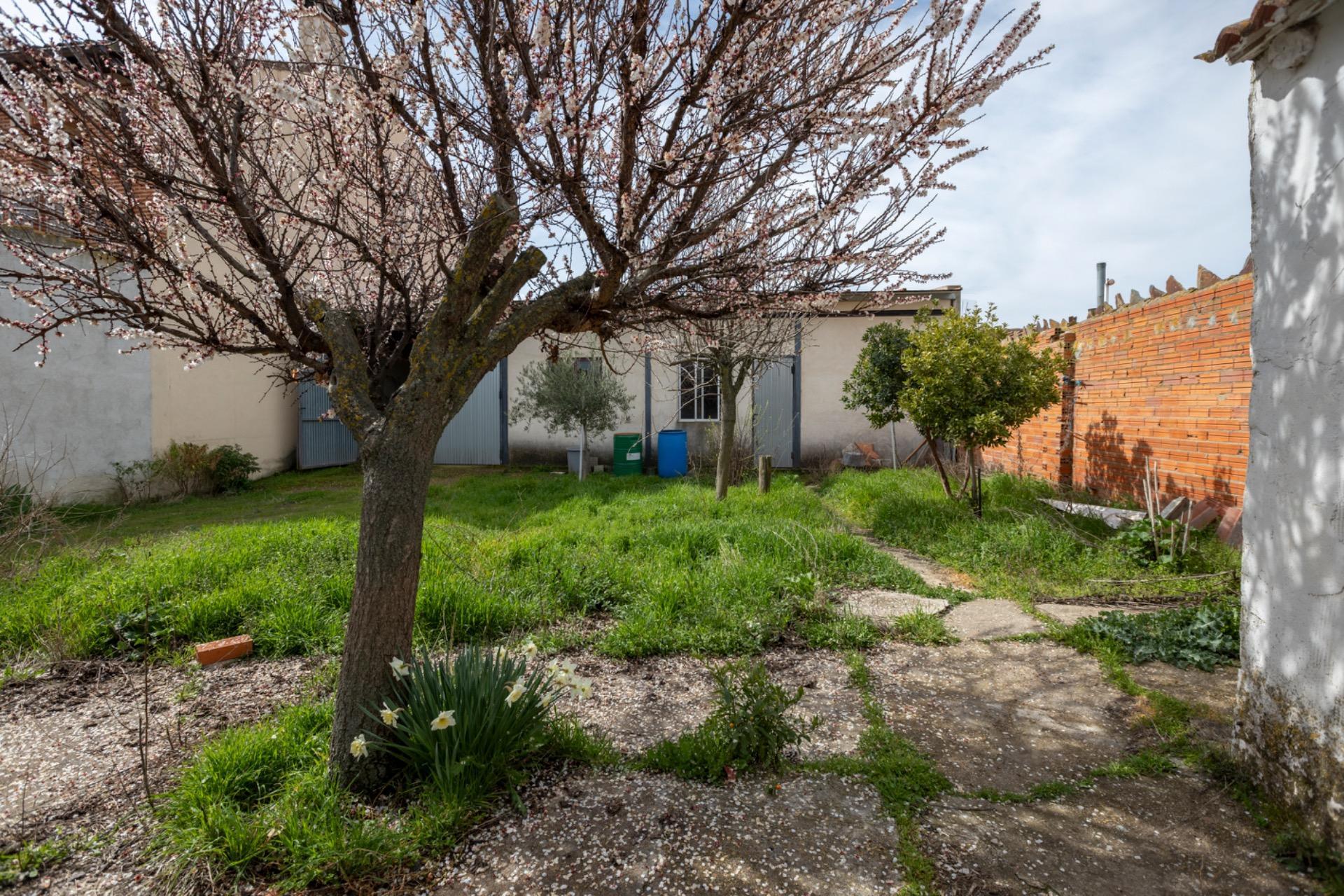 Casas o chalets-Venta-La Serrada-2177714-Foto-38