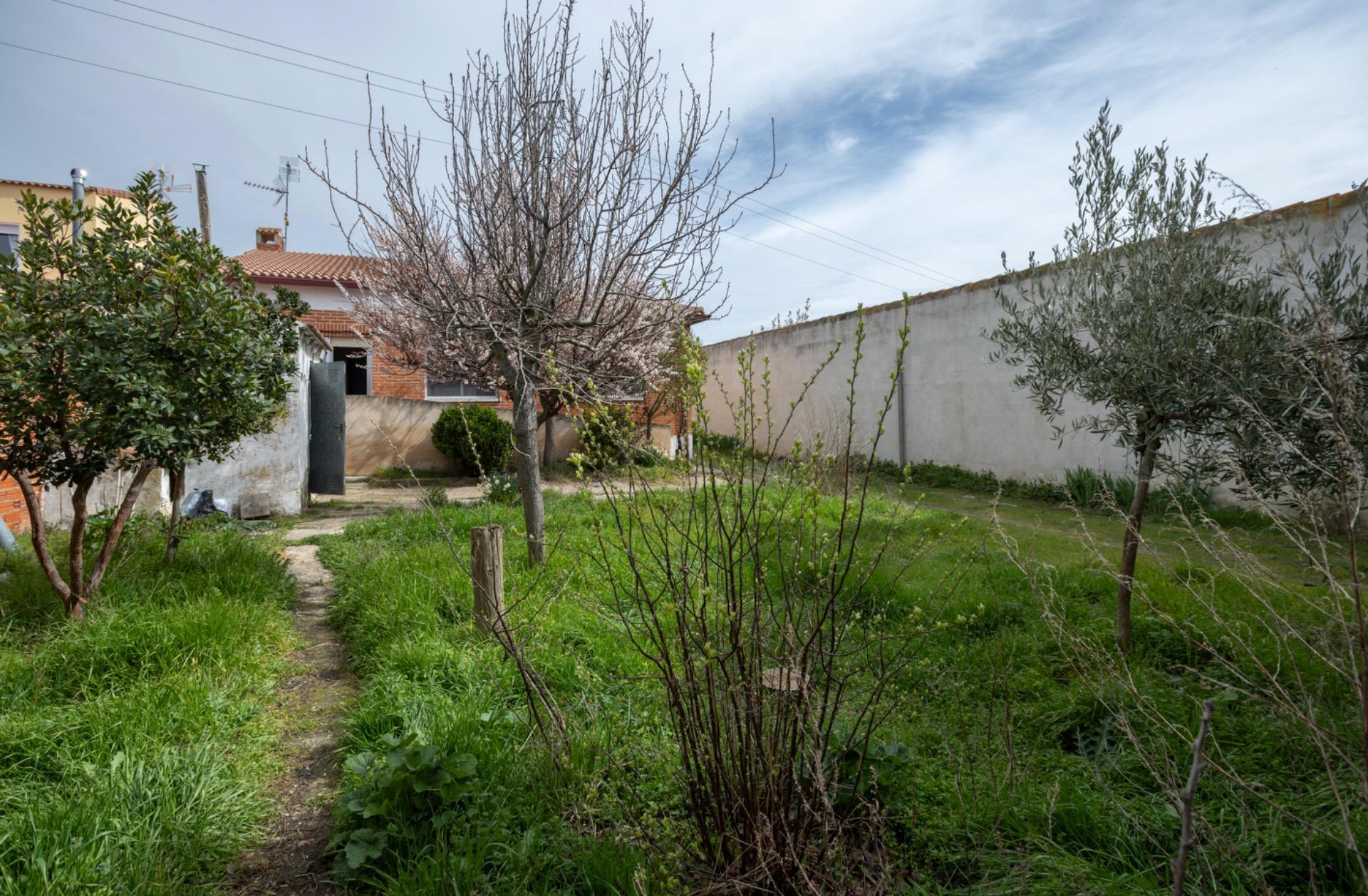 Casas o chalets-Venta-La Serrada-2177714-Foto-44