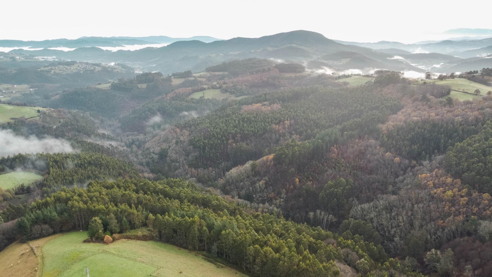 Negocios-Venta-Salas-2063634-Foto-55