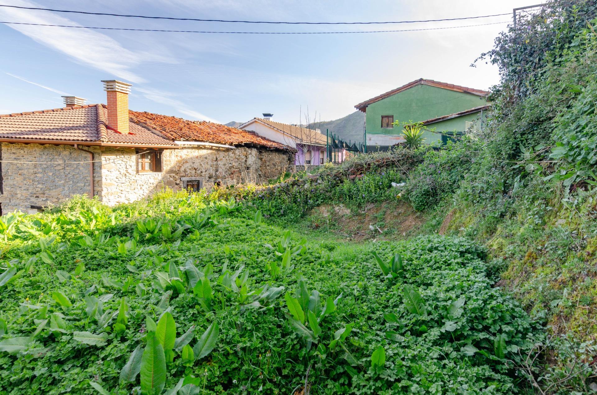 Casas o chalets-Venta-Villena-1712141-Foto-5