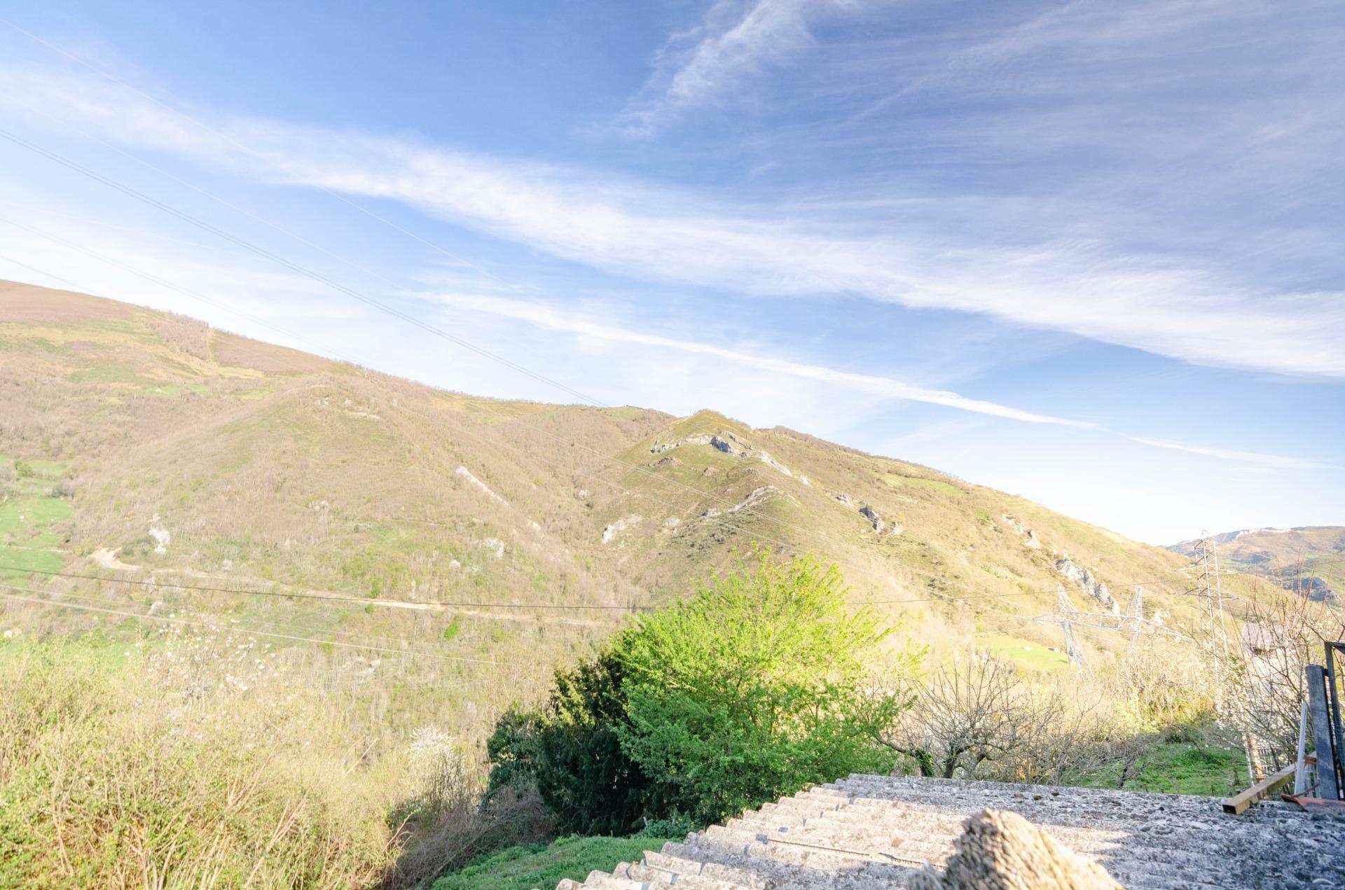 Casas o chalets-Venta-Villena-1712141-Foto-16