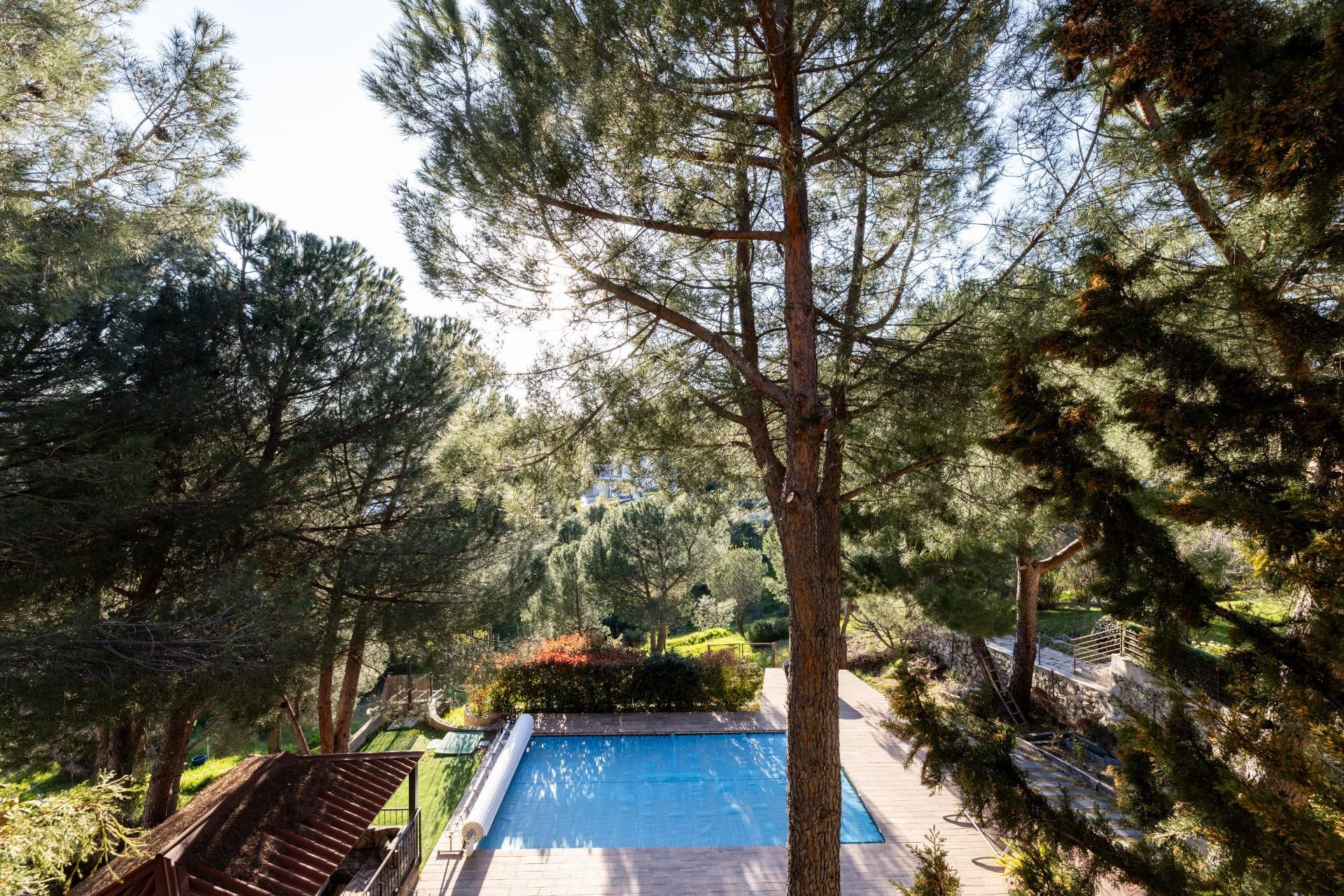 Casas o chalets-Venta-Torrelodones-2177797-Foto-47