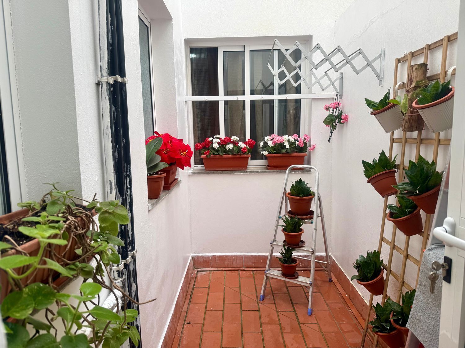 Pisos-Venta-Arucas-2177849-Foto-3