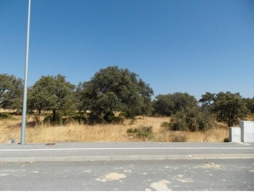 Fincas y solares-Venta-SanlÃºcar la Mayor-2178159-Foto-2