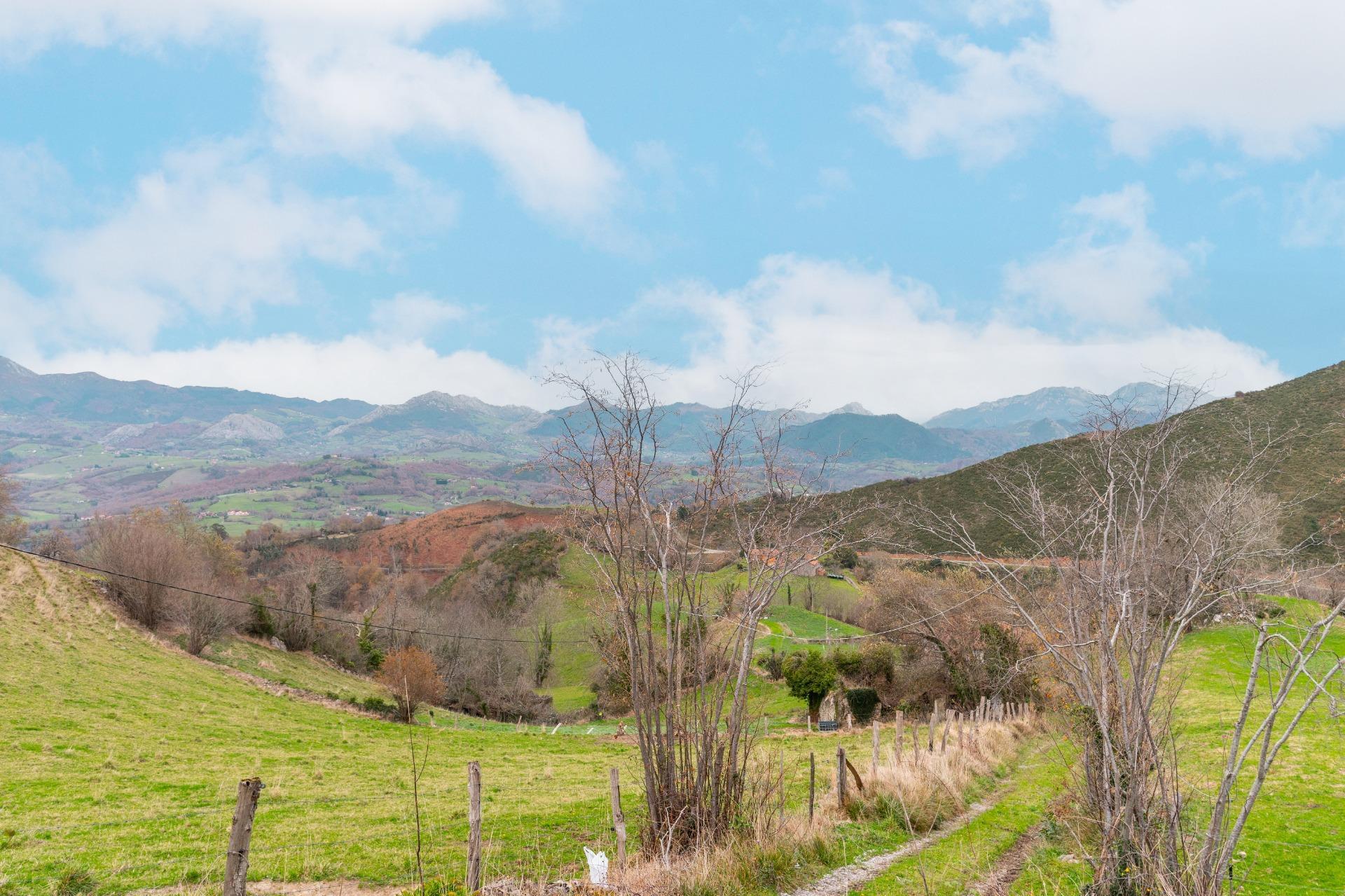 Fincas y solares-Venta-Amieva-2031303