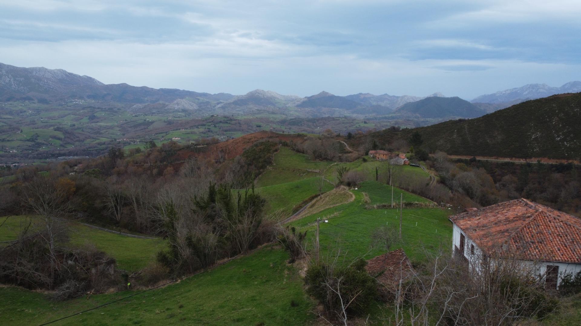 Fincas y solares-Venta-Amieva-2031303-Foto-2