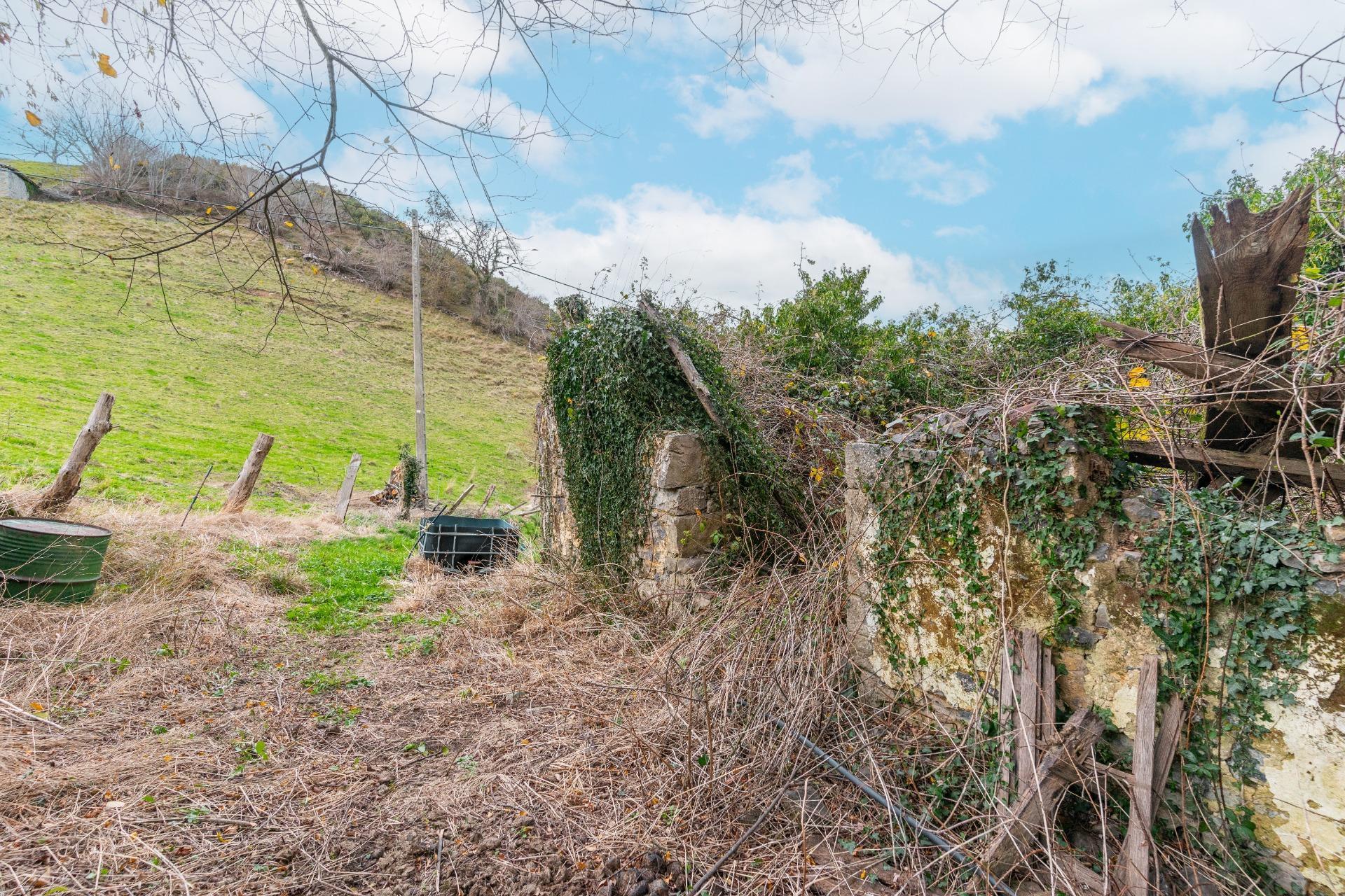 Fincas y solares-Venta-Amieva-2031303-Foto-14