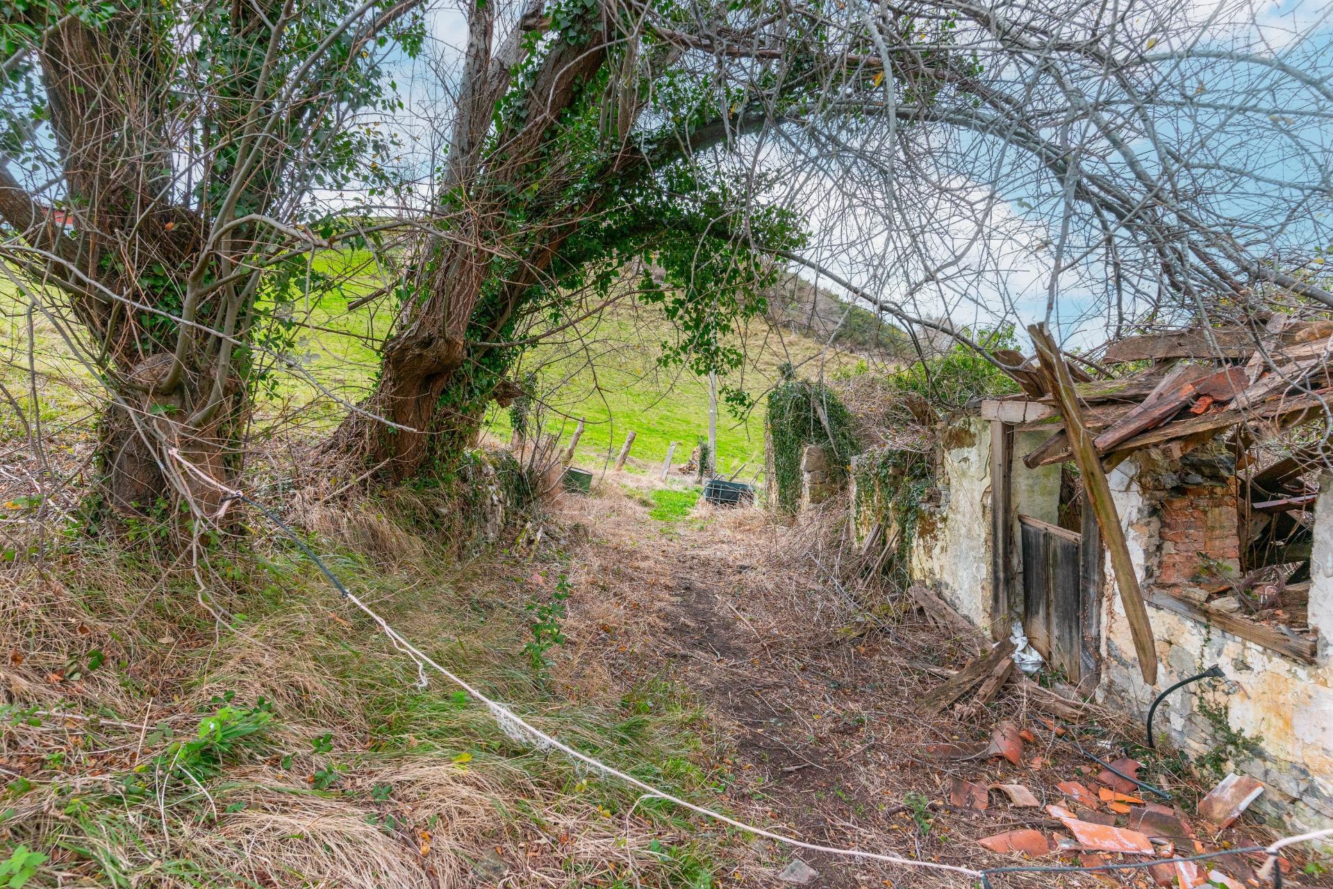 Fincas y solares-Venta-Amieva-2031303-Foto-26