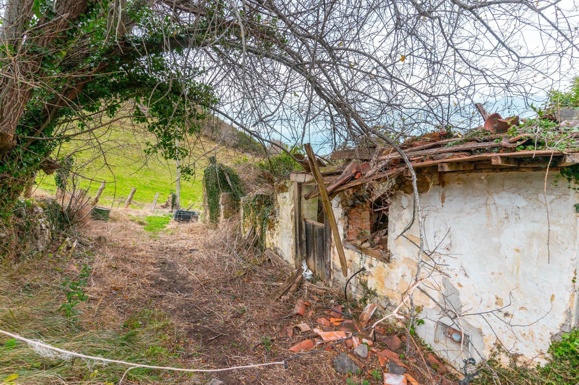 Fincas y solares-Venta-Amieva-2031303-Foto-28