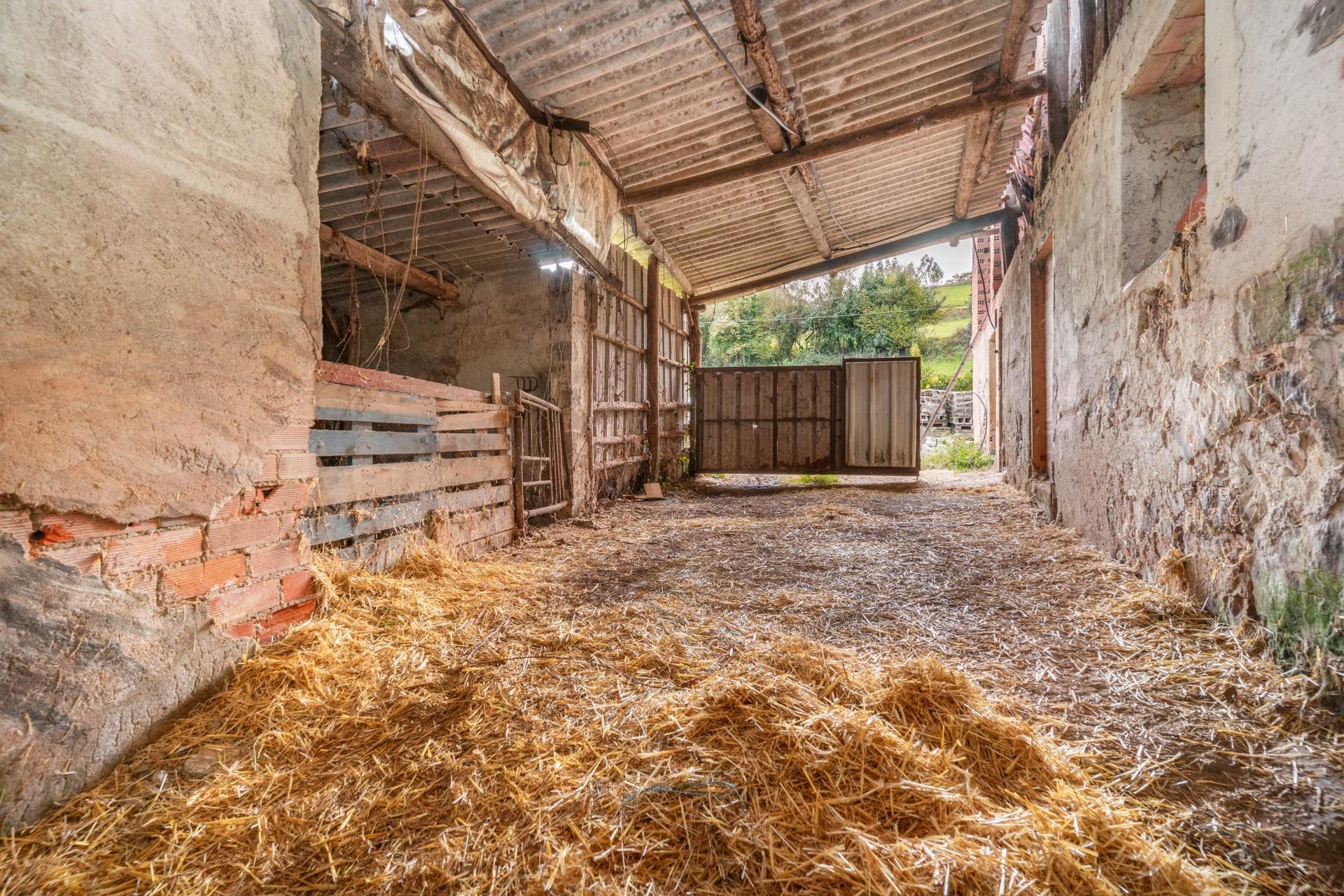 Casas o chalets-Venta-Pernus-1993978-Foto-20