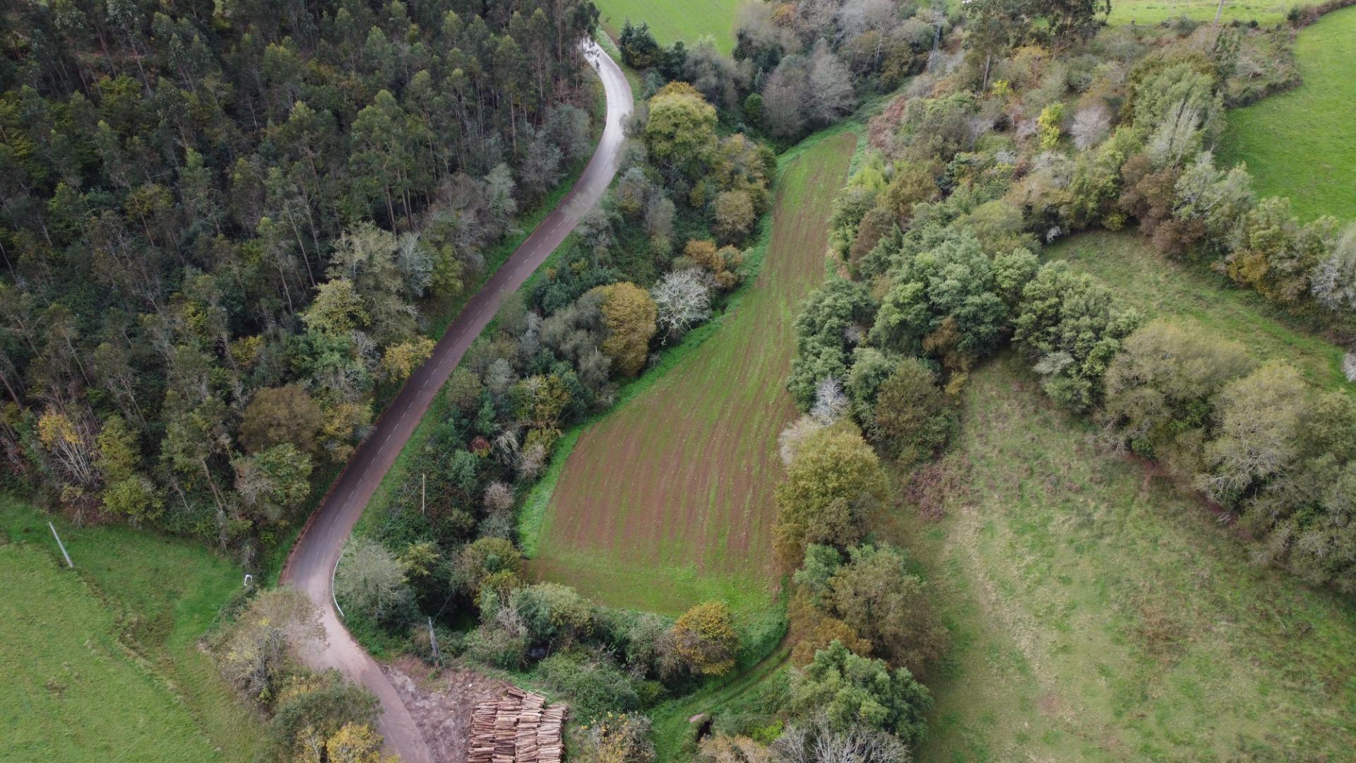 Casas o chalets-Venta-Pernus-1993978-Foto-31