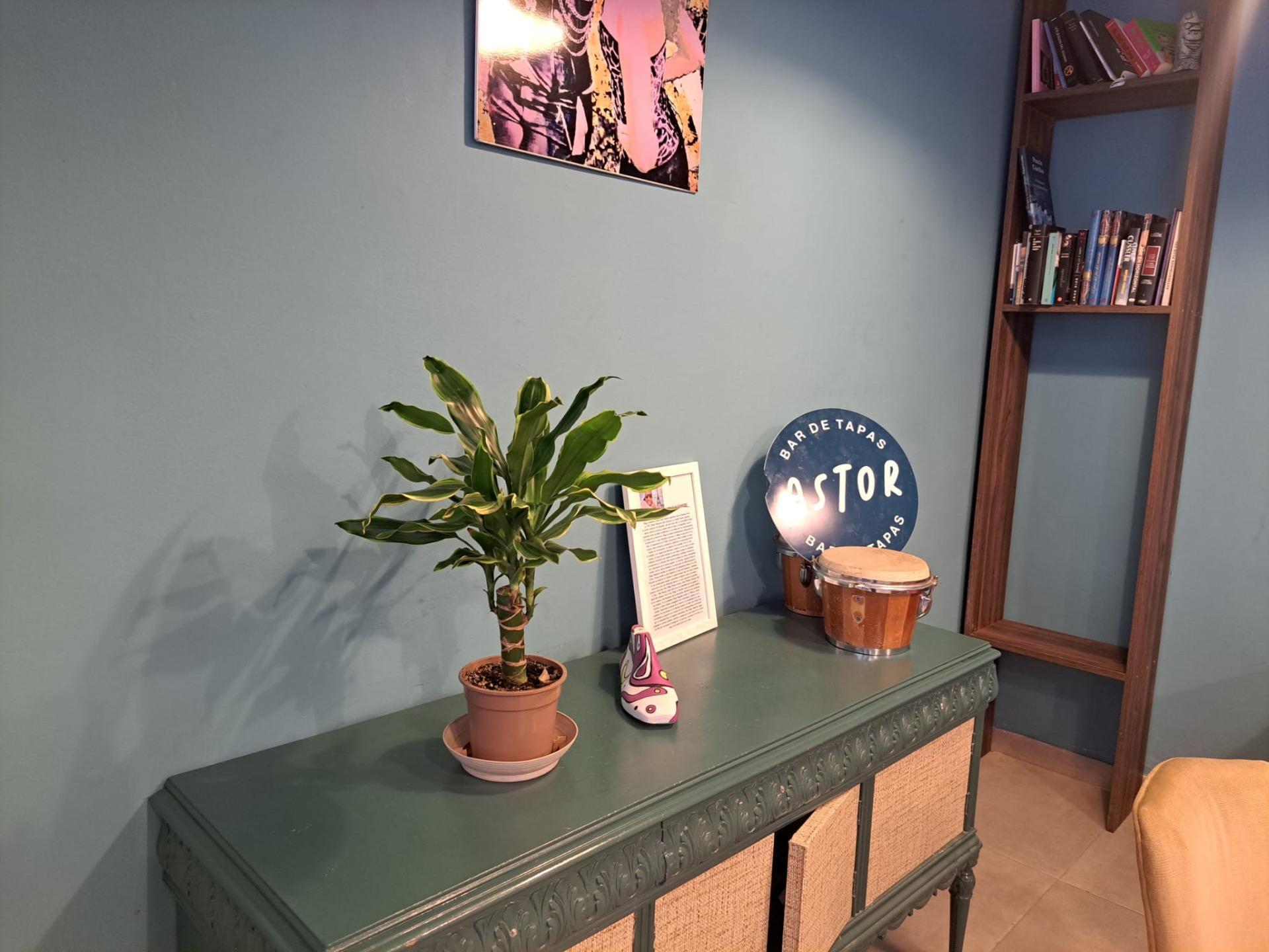 Negocios-Venta-Palma de Mallorca-1976706-Foto-9