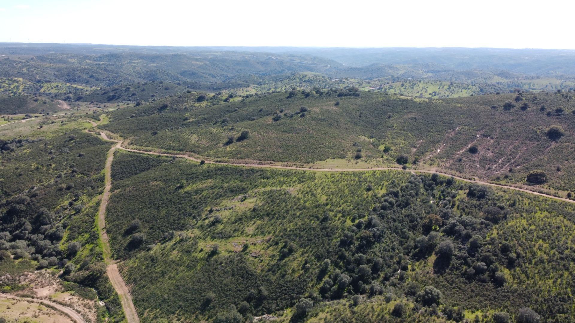 Pisos-Venta-SanlÃºcar de Guadiana-2178216-Foto-10