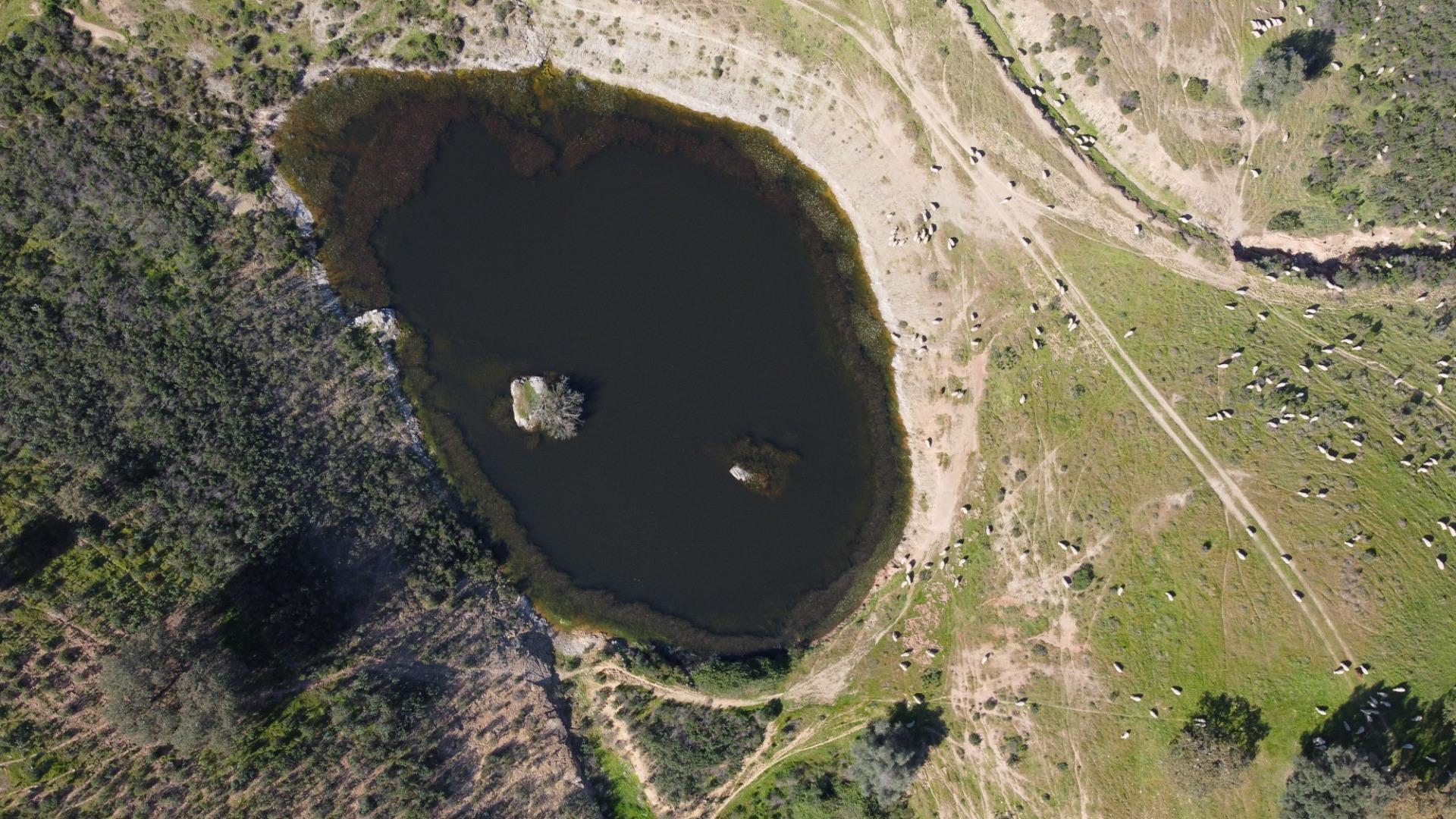 Pisos-Venta-SanlÃºcar de Guadiana-2178216-Foto-12