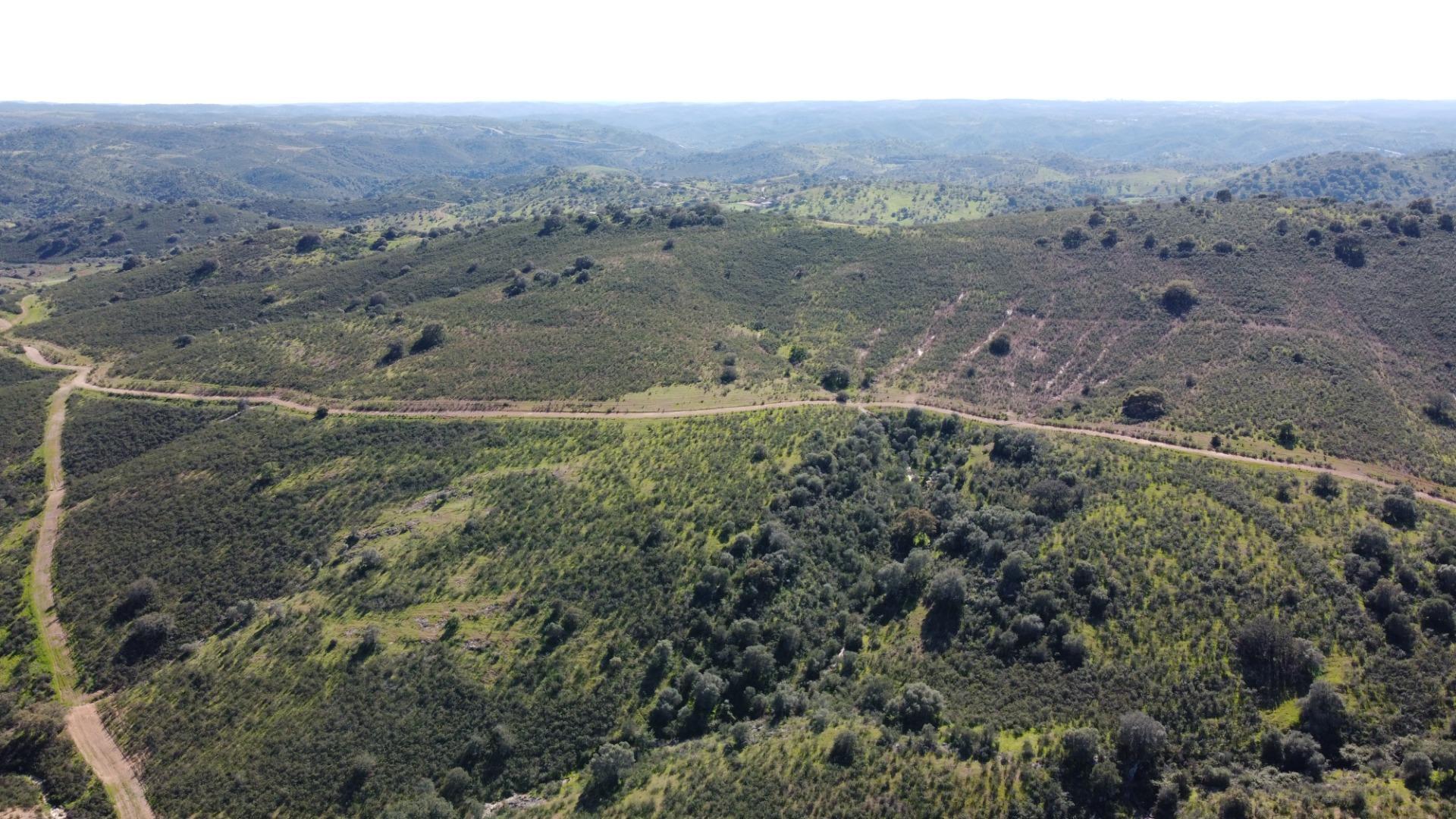 Pisos-Venta-SanlÃºcar de Guadiana-2178216-Foto-11