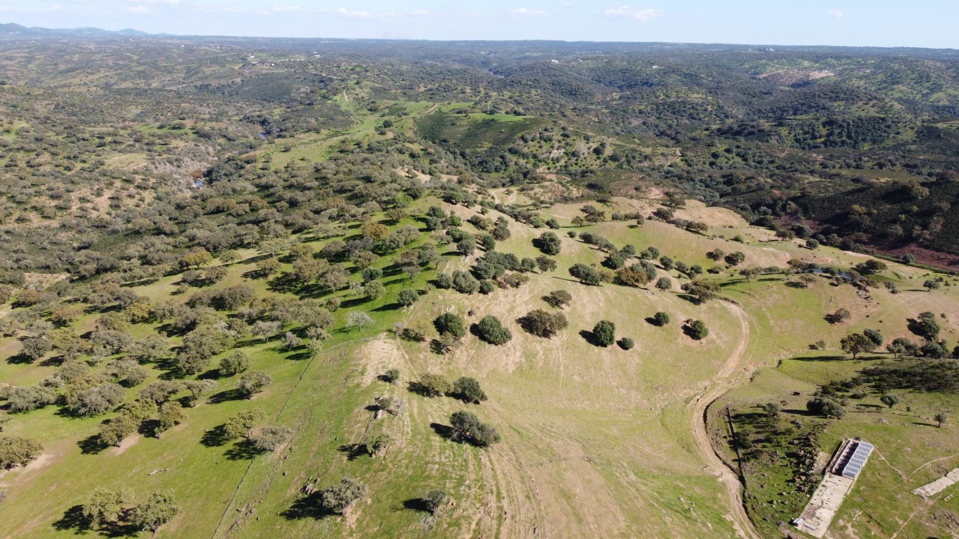 Pisos-Venta-SanlÃºcar de Guadiana-2178216-Foto-22