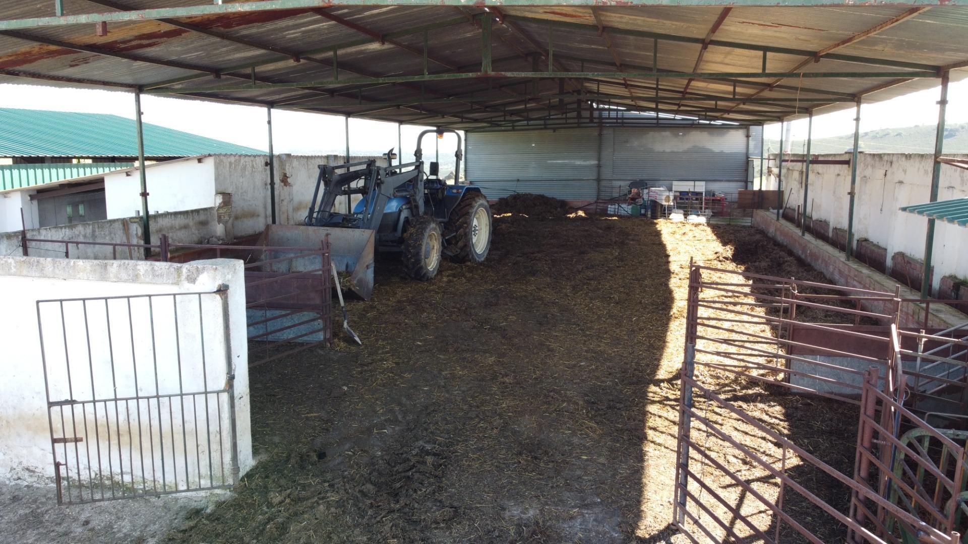 Pisos-Venta-SanlÃºcar de Guadiana-2178216-Foto-28