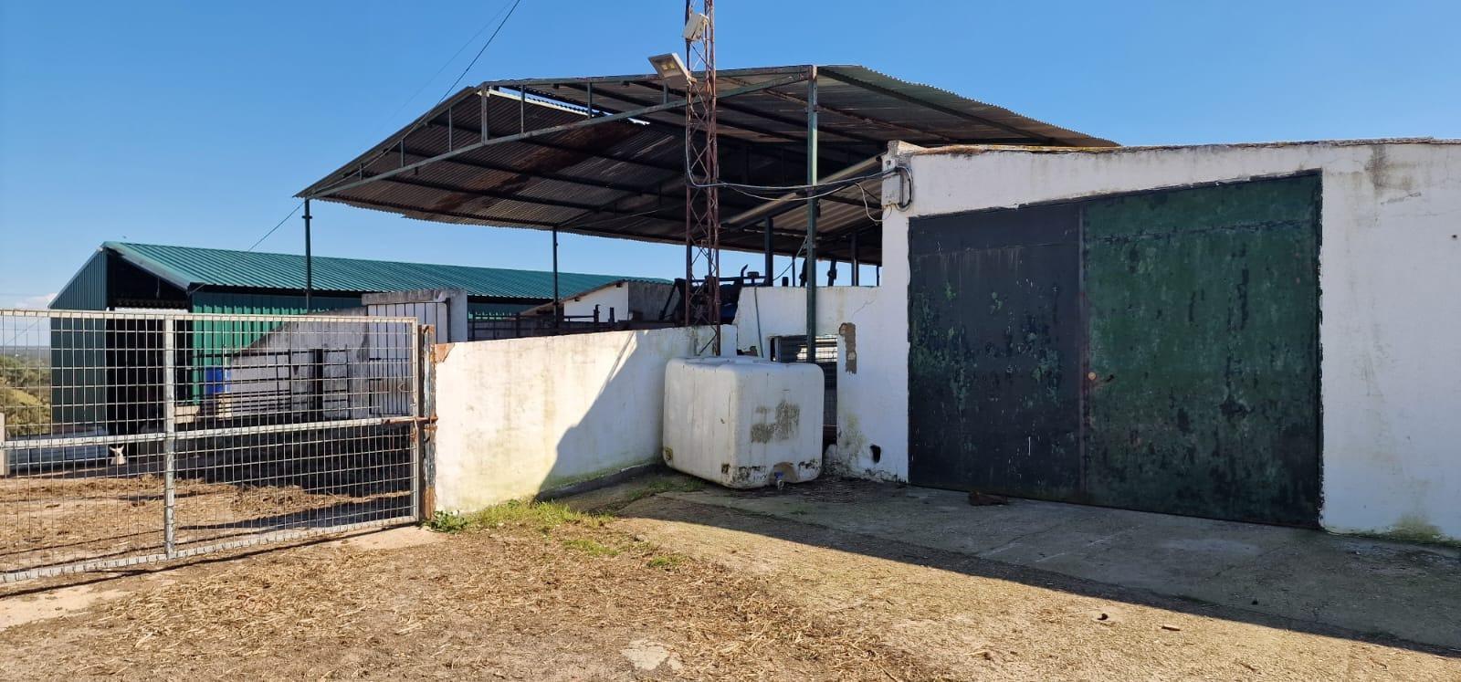 Pisos-Venta-SanlÃºcar de Guadiana-2178216-Foto-54