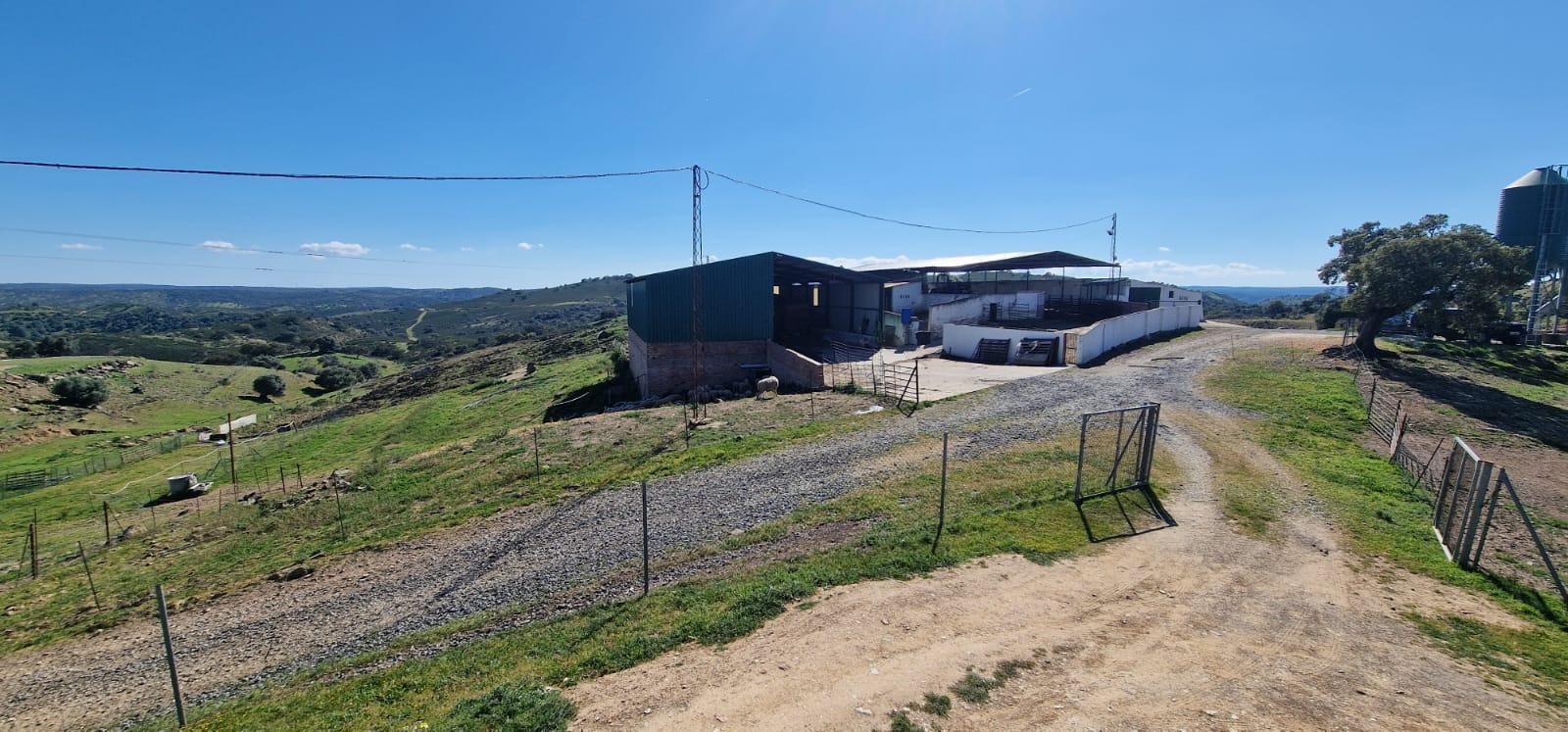 Pisos-Venta-SanlÃºcar de Guadiana-2178216-Foto-59