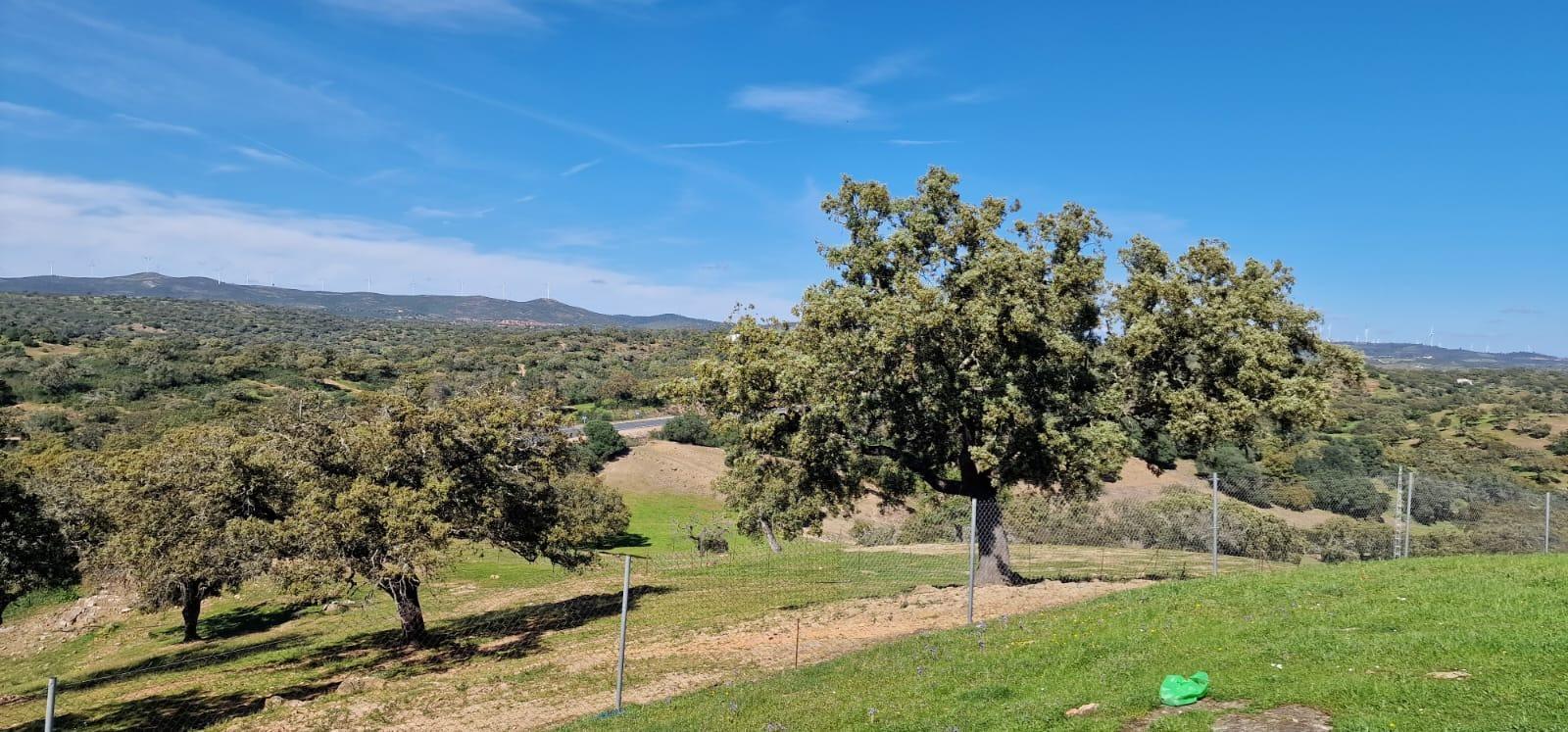 Pisos-Venta-SanlÃºcar de Guadiana-2178216-Foto-57