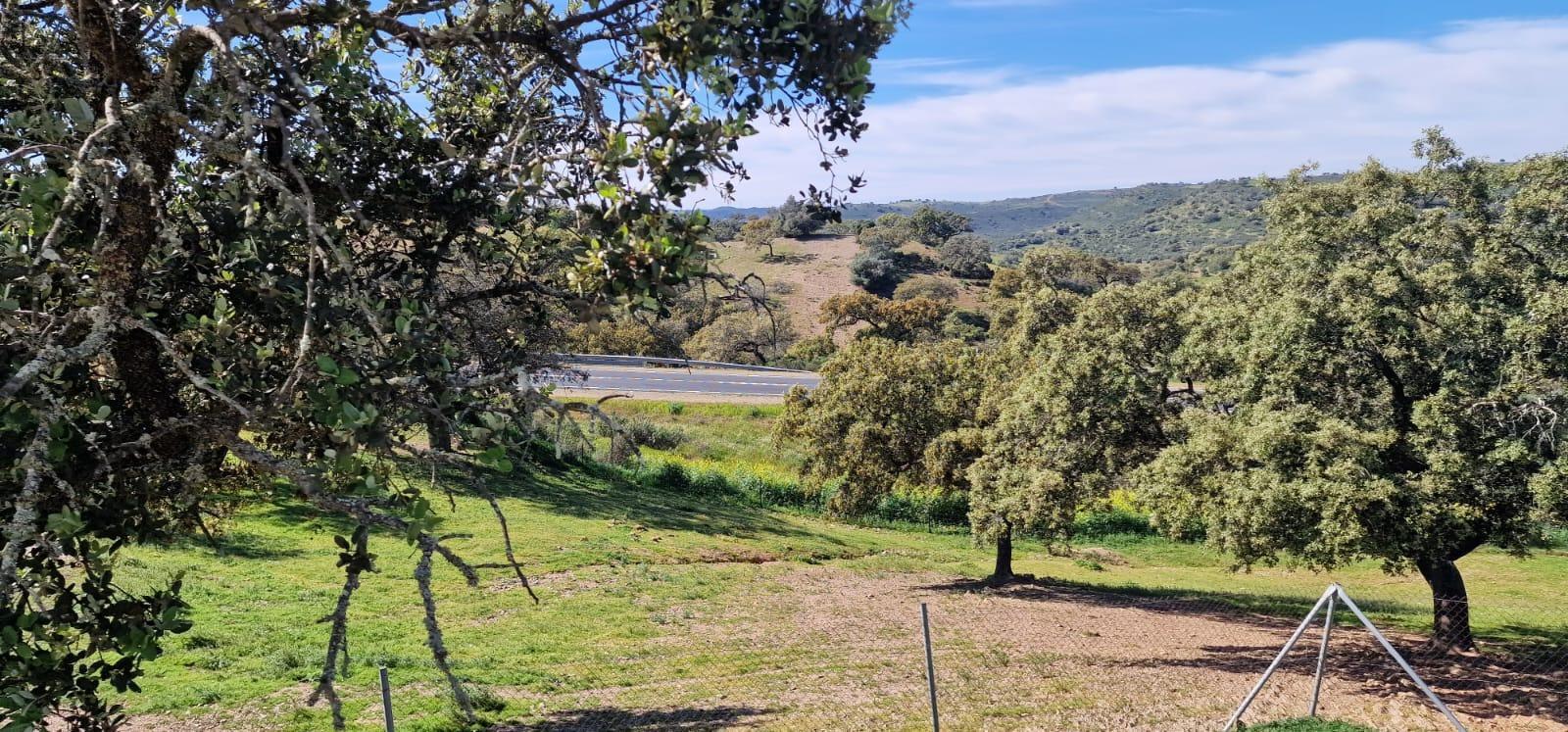 Pisos-Venta-SanlÃºcar de Guadiana-2178216-Foto-61