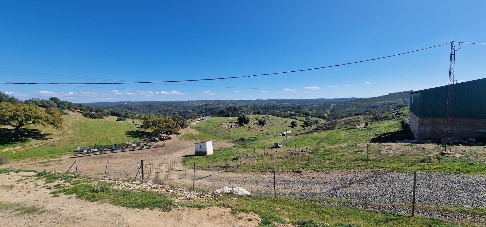 Pisos-Venta-SanlÃºcar de Guadiana-2178216-Foto-65