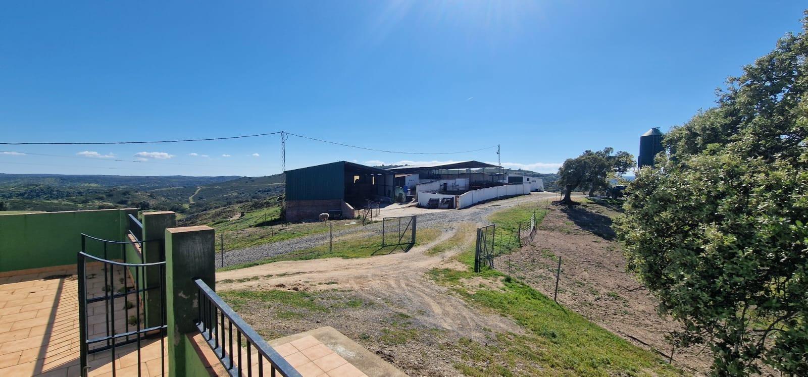 Pisos-Venta-SanlÃºcar de Guadiana-2178216-Foto-69