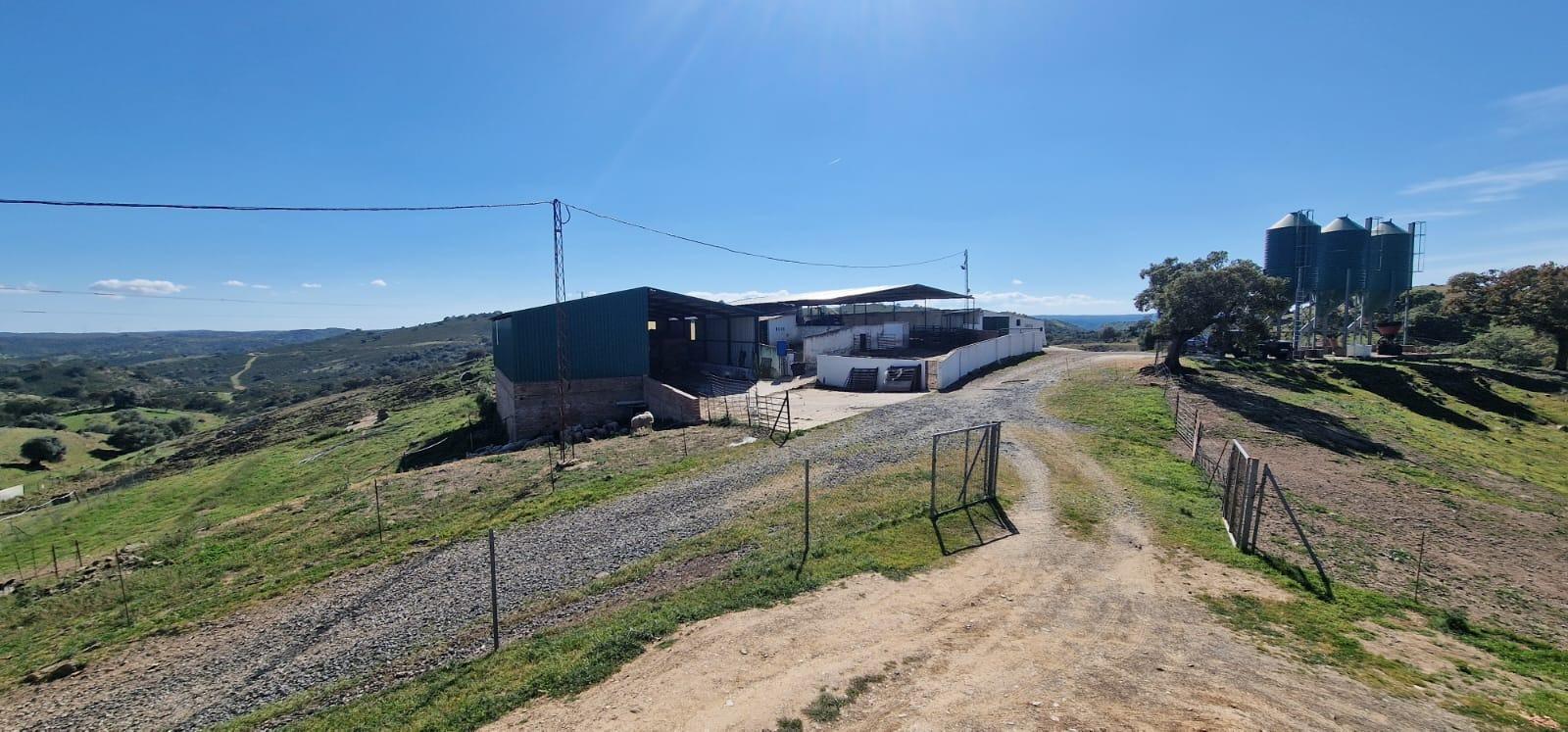 Pisos-Venta-SanlÃºcar de Guadiana-2178216-Foto-68
