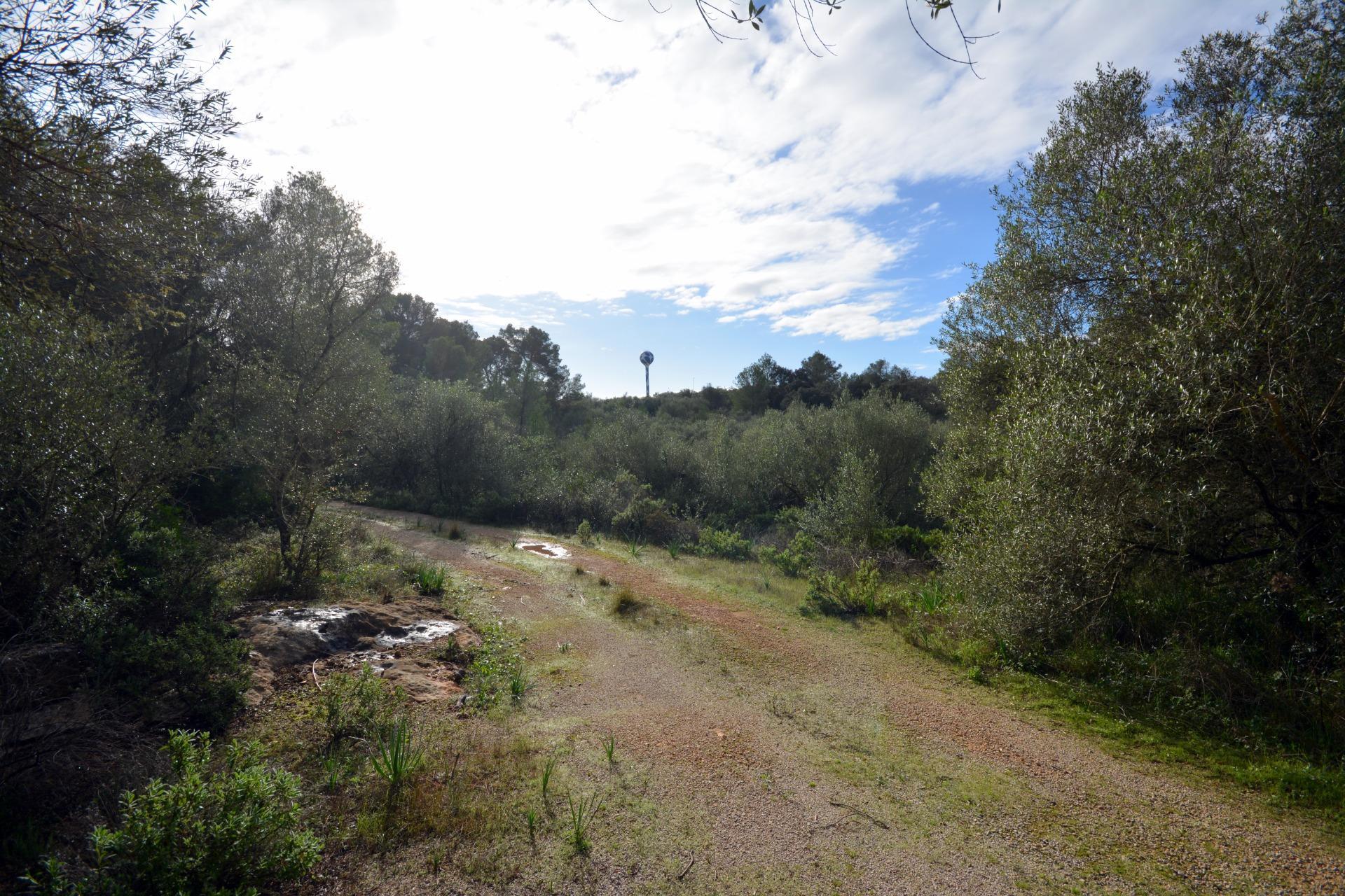 Pisos-Venta-Palma de Mallorca-1993604-Foto-9