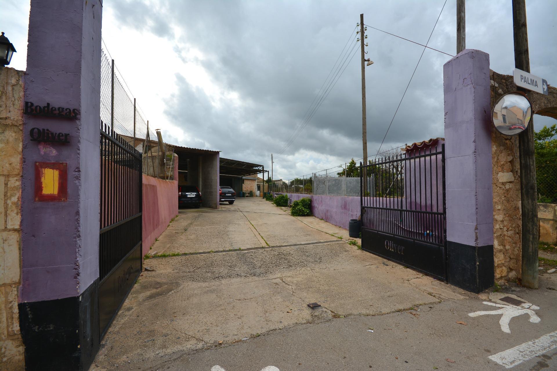 Naves-Venta-Binissalem-2031971-Foto-32