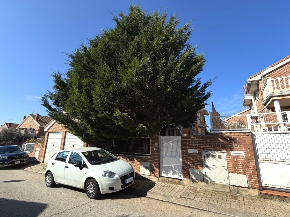 Casas o chalets-Venta-Los Santos de la Humosa-2194001-Foto-26