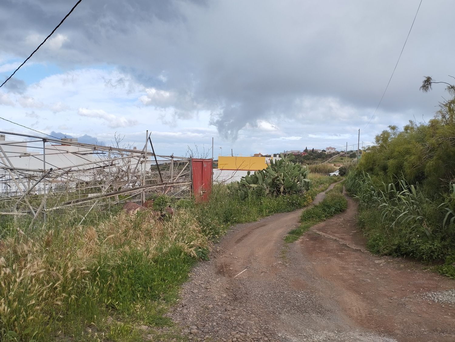 Fincas y solares-Venta-Telde-2194016-Foto-10