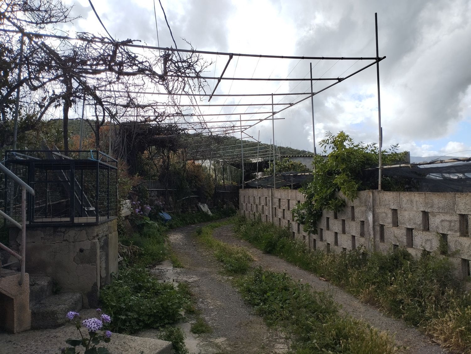 Fincas y solares-Venta-Telde-2194016-Foto-19