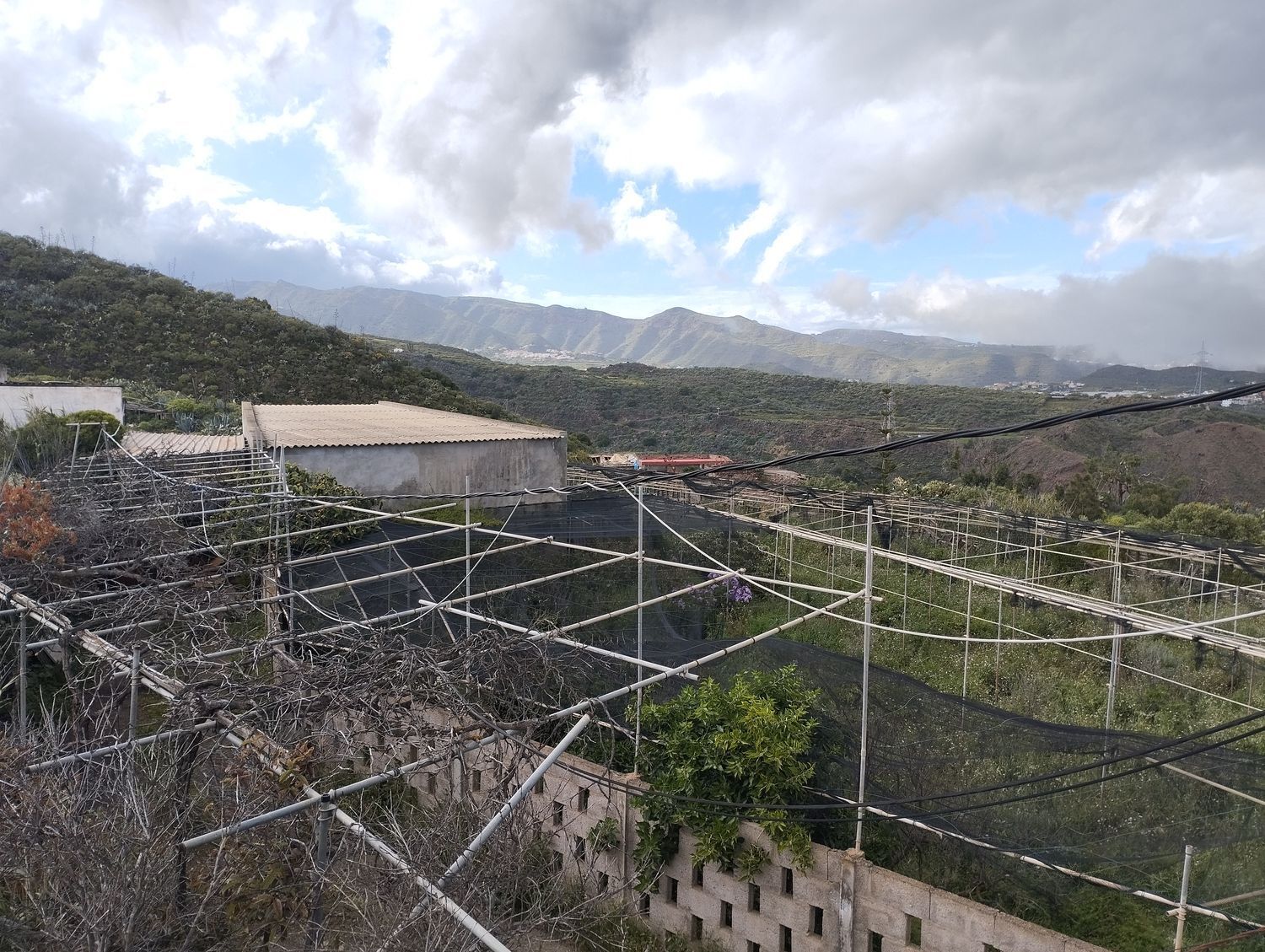 Fincas y solares-Venta-Telde-2194016-Foto-24