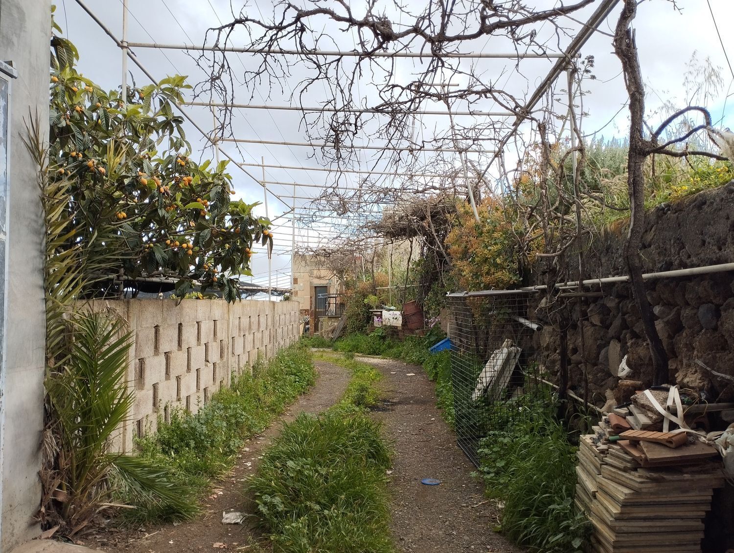 Fincas y solares-Venta-Telde-2194016-Foto-25