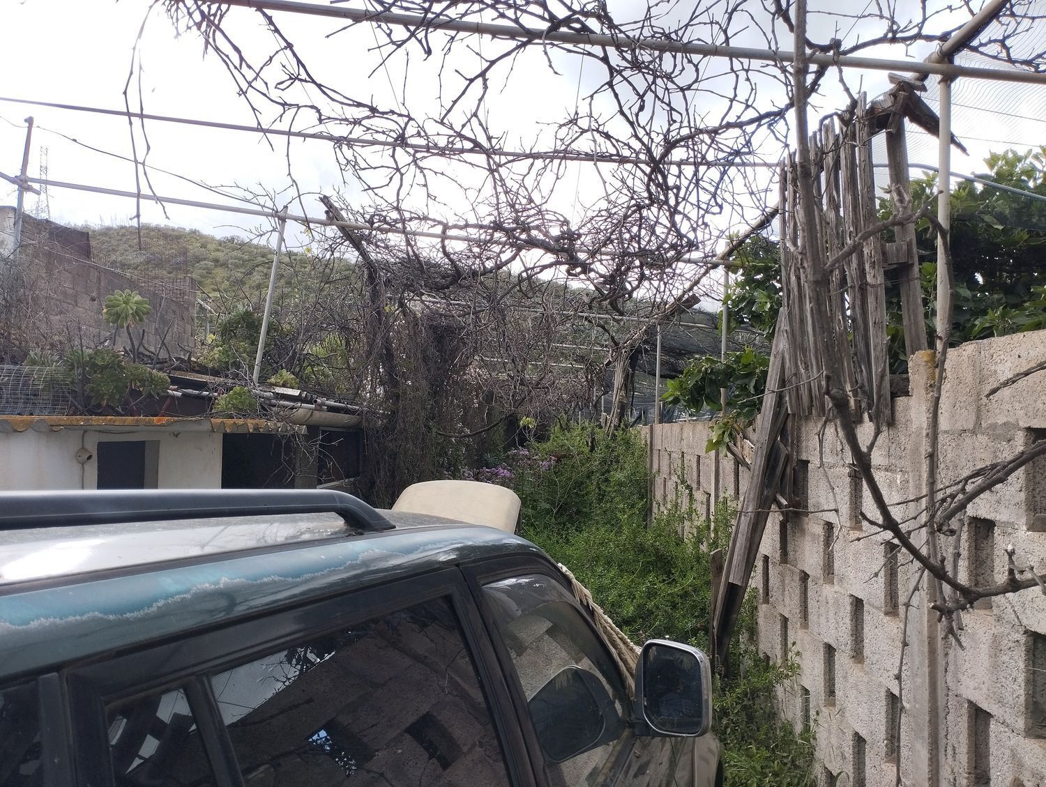 Fincas y solares-Venta-Telde-2194016-Foto-29