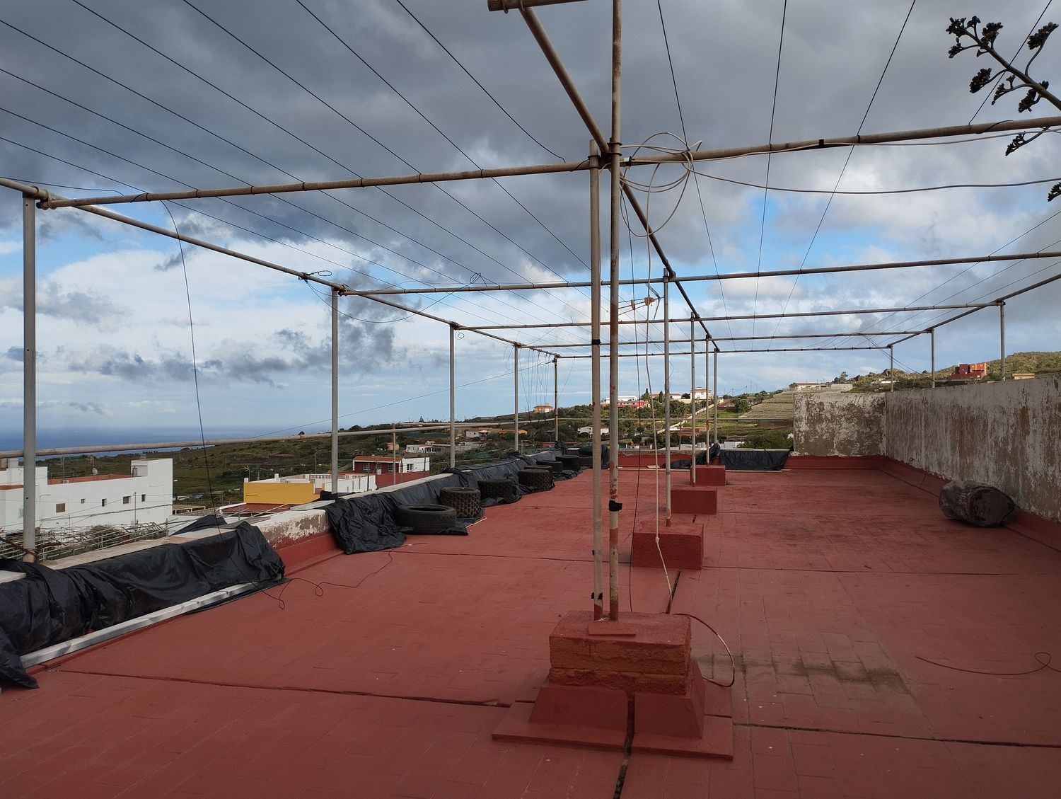 Fincas y solares-Venta-Telde-2194019-Foto-8