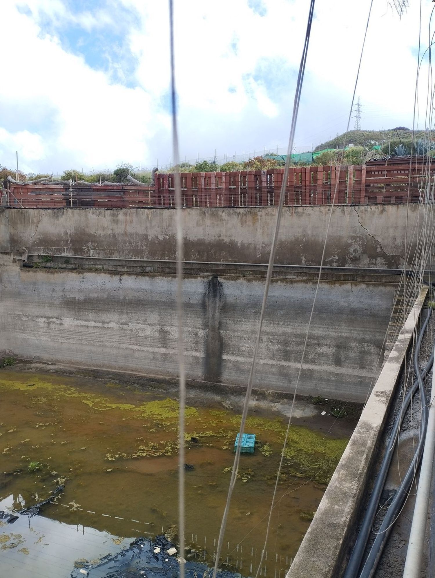 Fincas y solares-Venta-Telde-2194019-Foto-11