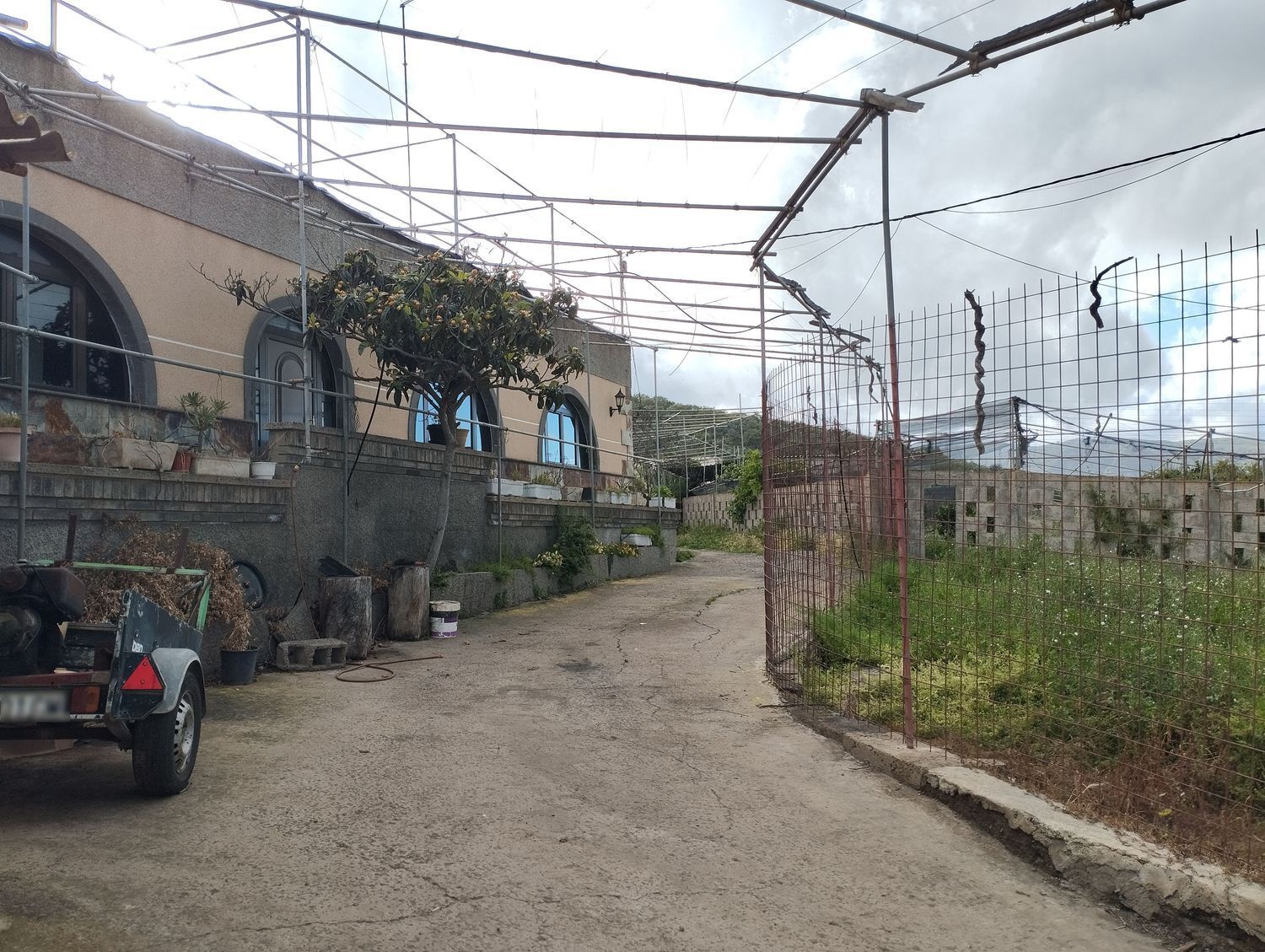 Fincas y solares-Venta-Telde-2194019-Foto-14