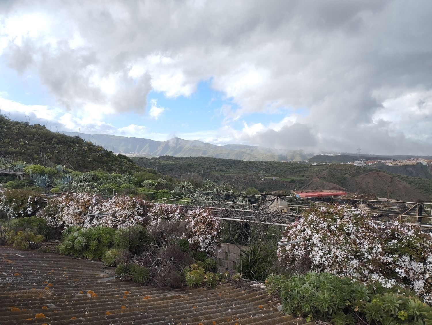 Fincas y solares-Venta-Telde-2194019-Foto-26