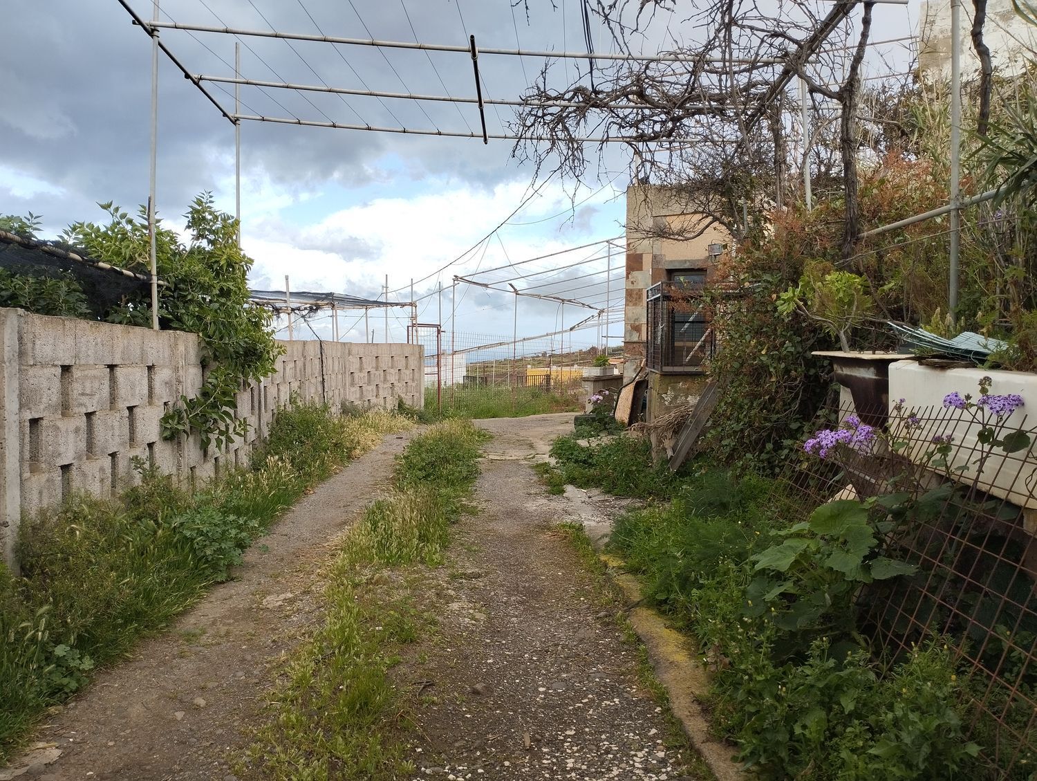 Fincas y solares-Venta-Telde-2194019-Foto-31