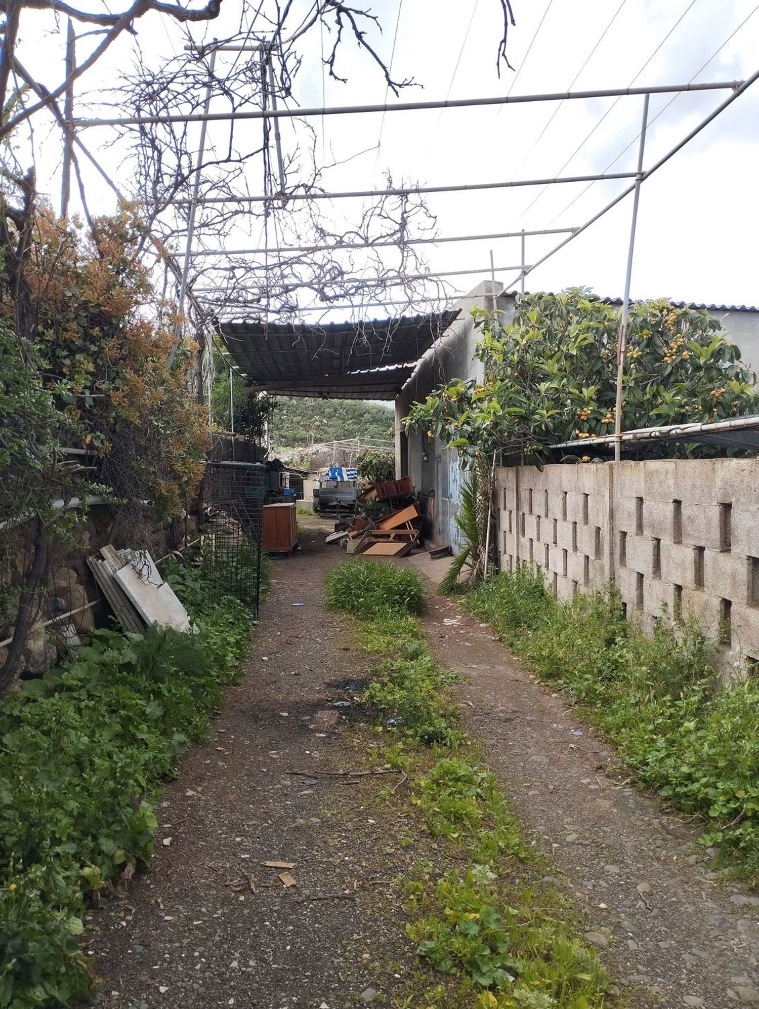 Fincas y solares-Venta-Telde-2194019-Foto-30