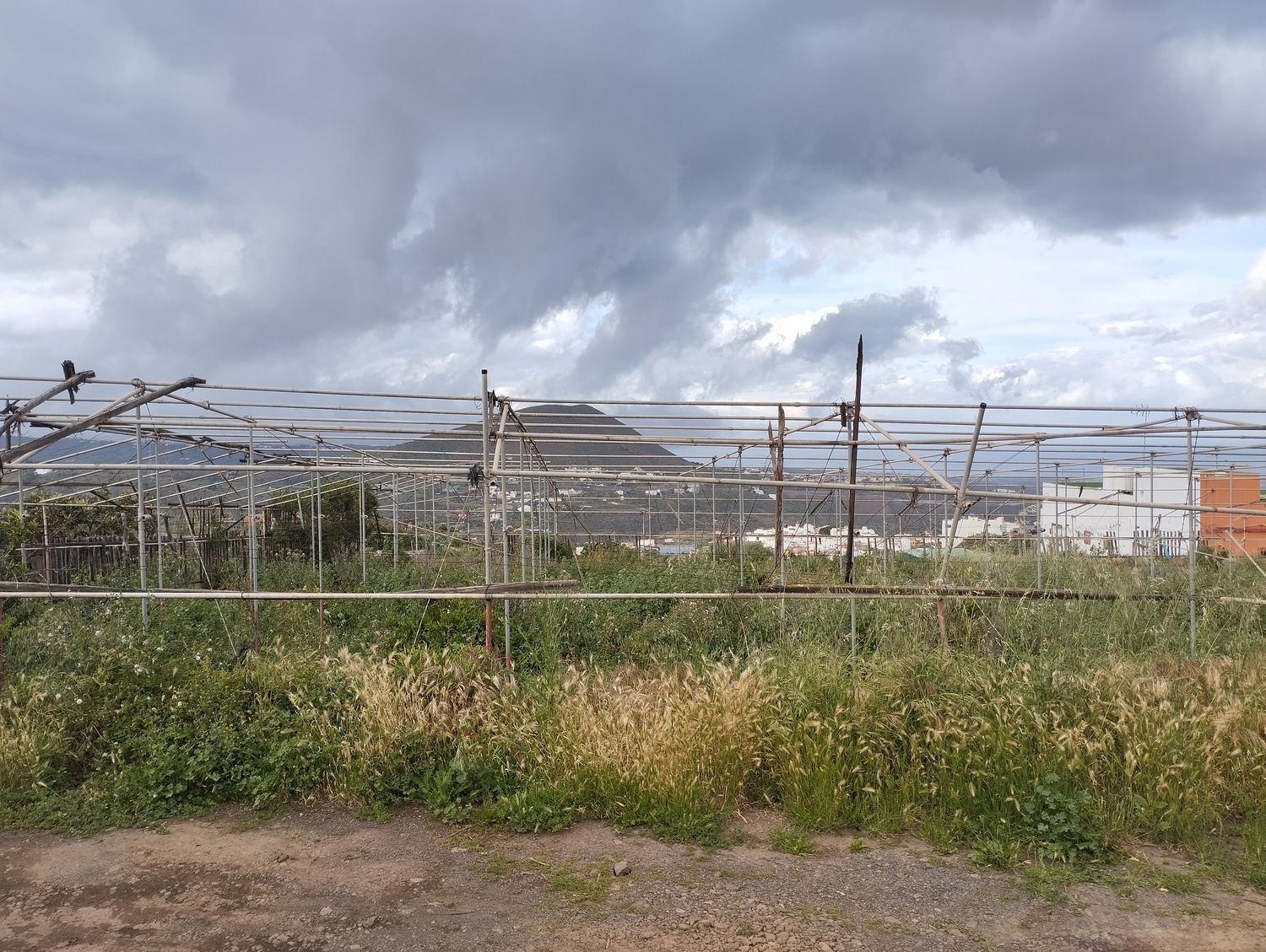 Fincas y solares-Venta-Telde-2194022-Foto-4